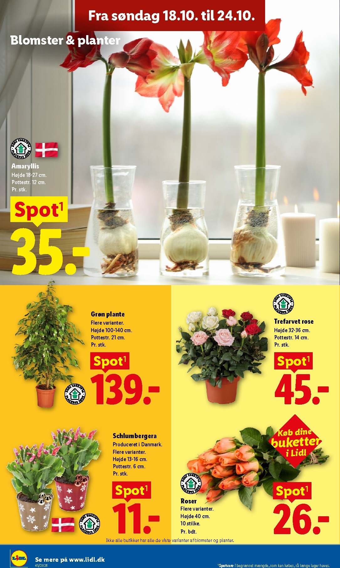 lidl - Aktuel Lidl - Weekendtilbud tilbudsavis fra torsdag, 22.10.2026 til lørdag, 24.10.2026 - page: 14