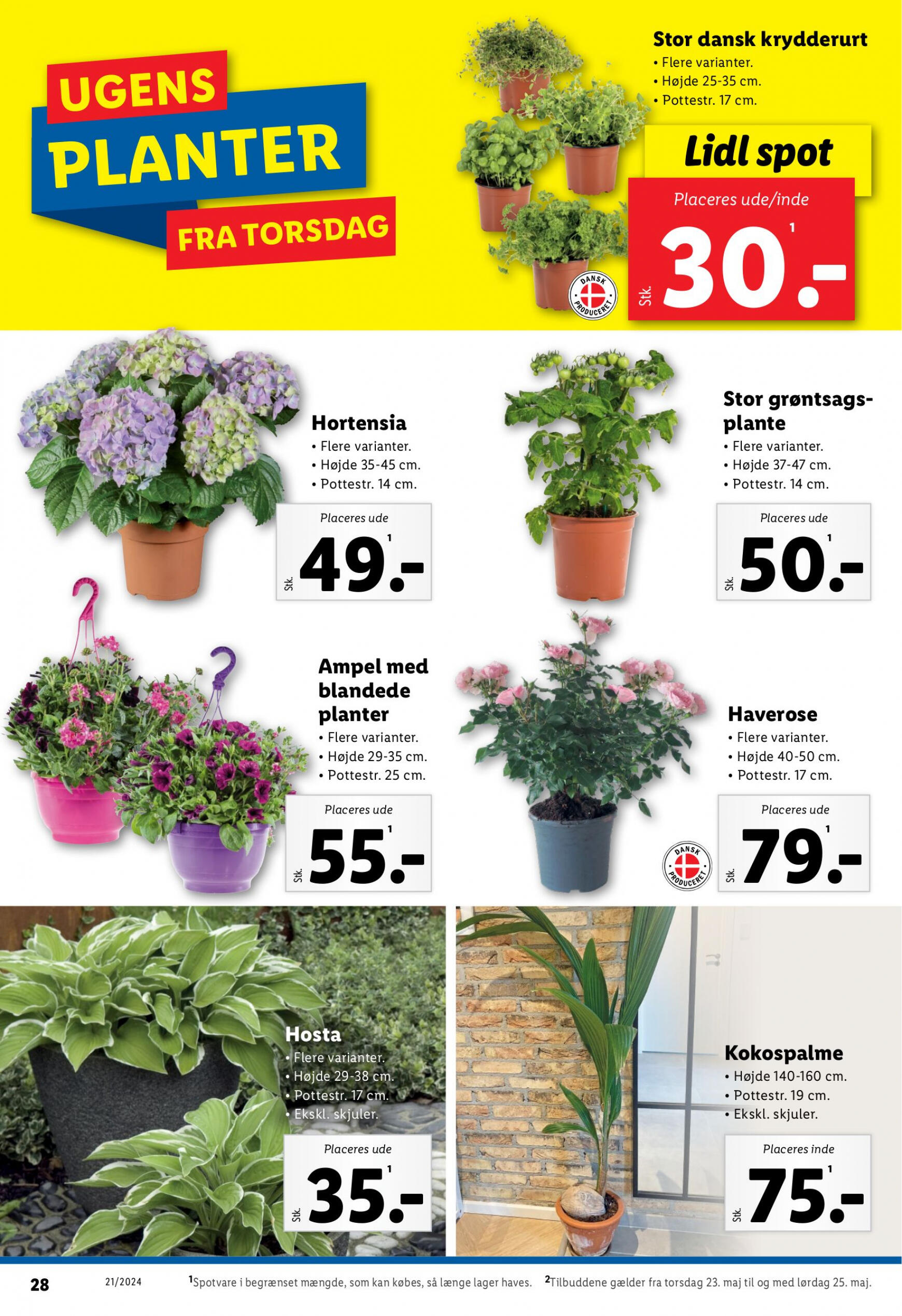 lidl - Lidl nuværende 21.05. tilbudsavis - 25.05. - page: 28