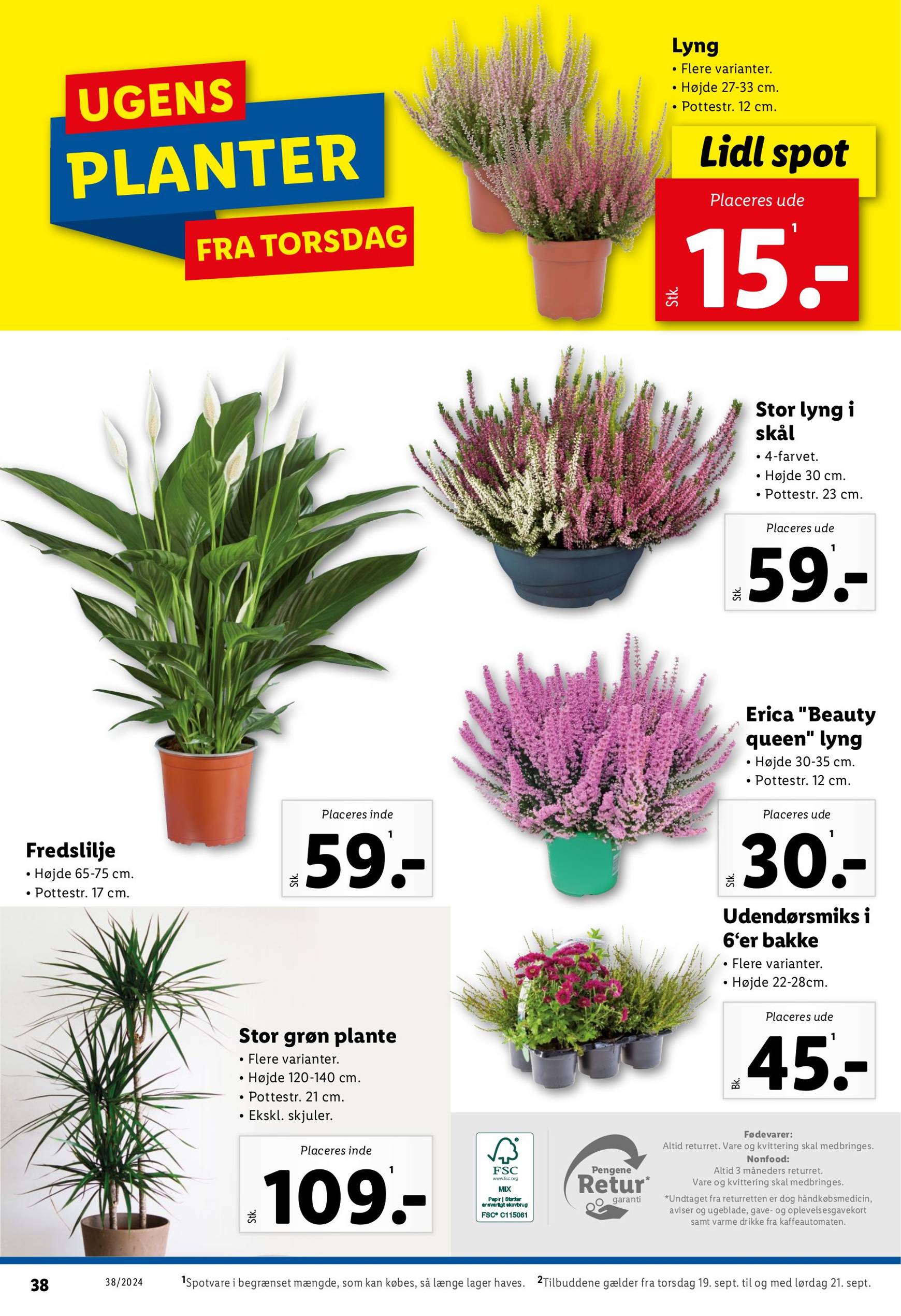 lidl - Nyeste Lidl-tilbudsavis gyldig fra 15.09. - 21.09. - page: 38