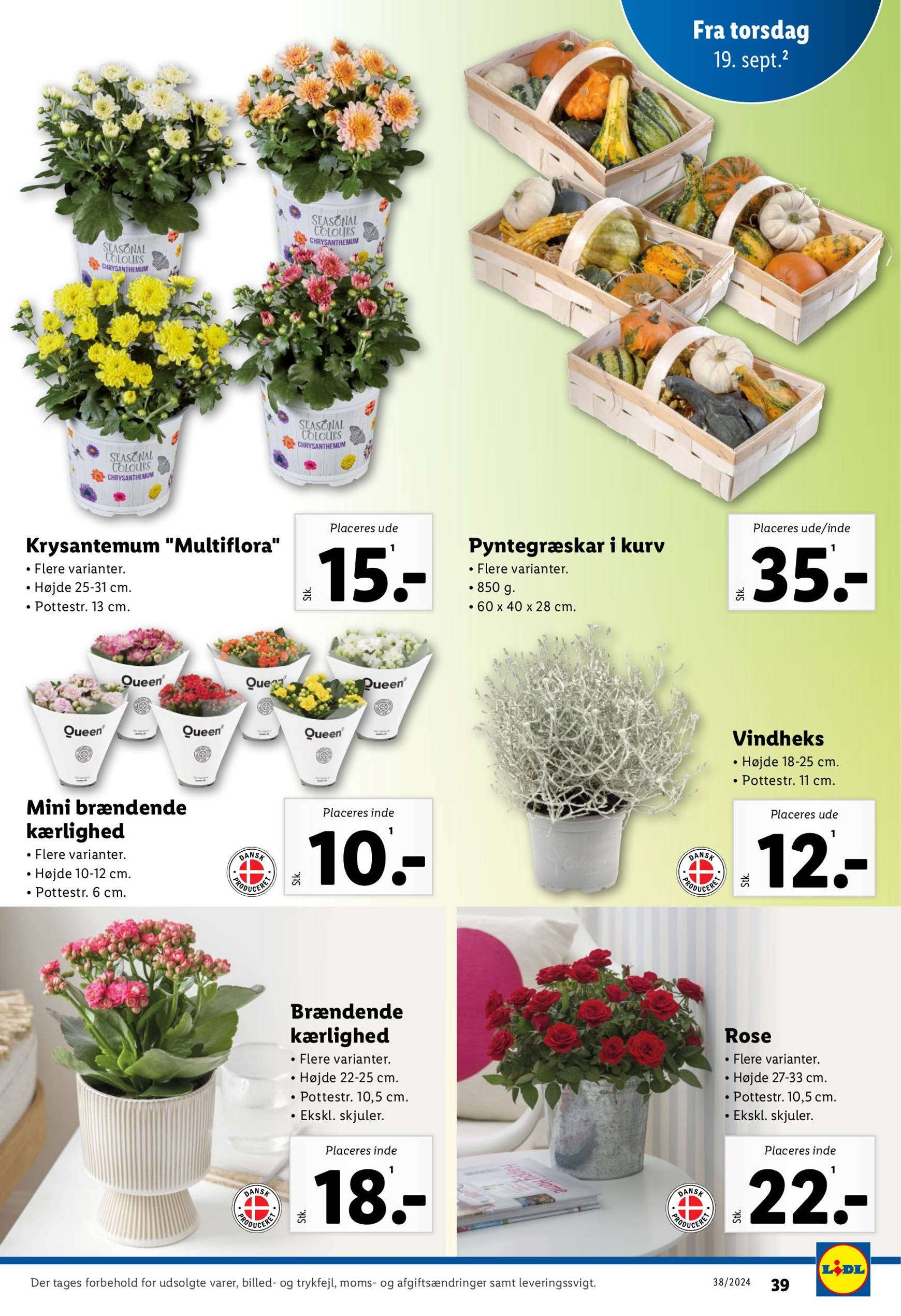 lidl - Nyeste Lidl-tilbudsavis gyldig fra 15.09. - 21.09. - page: 39