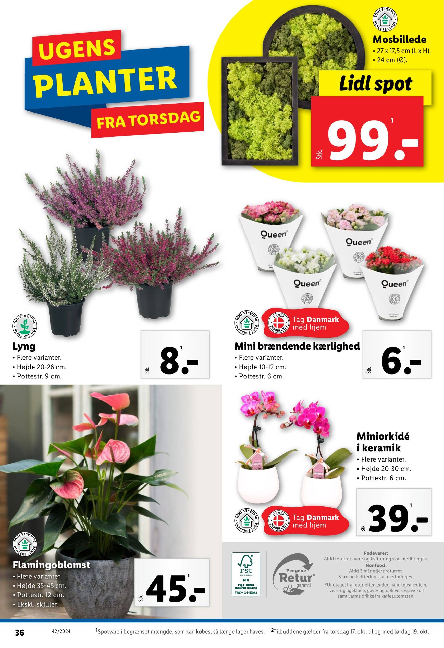 lidl - Lidl tilbudsavis gyldig fra 13.10. - 19.10. - page: 36