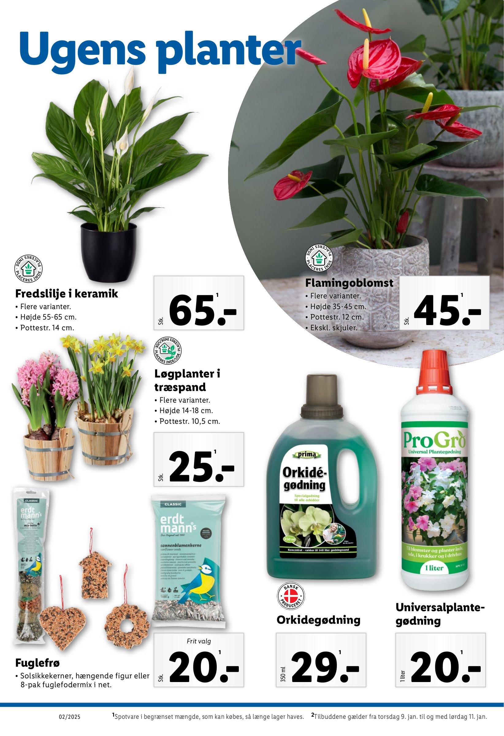 lidl - Lidl tilbudsavis gyldig fra 05.01. - 11.01. - page: 28