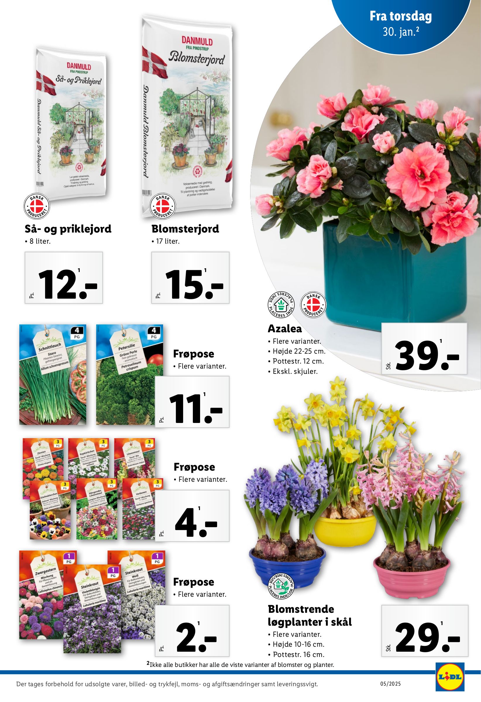 lidl - Lidl tilbudsavis gyldig fra 26.01. - 01.02. - page: 35