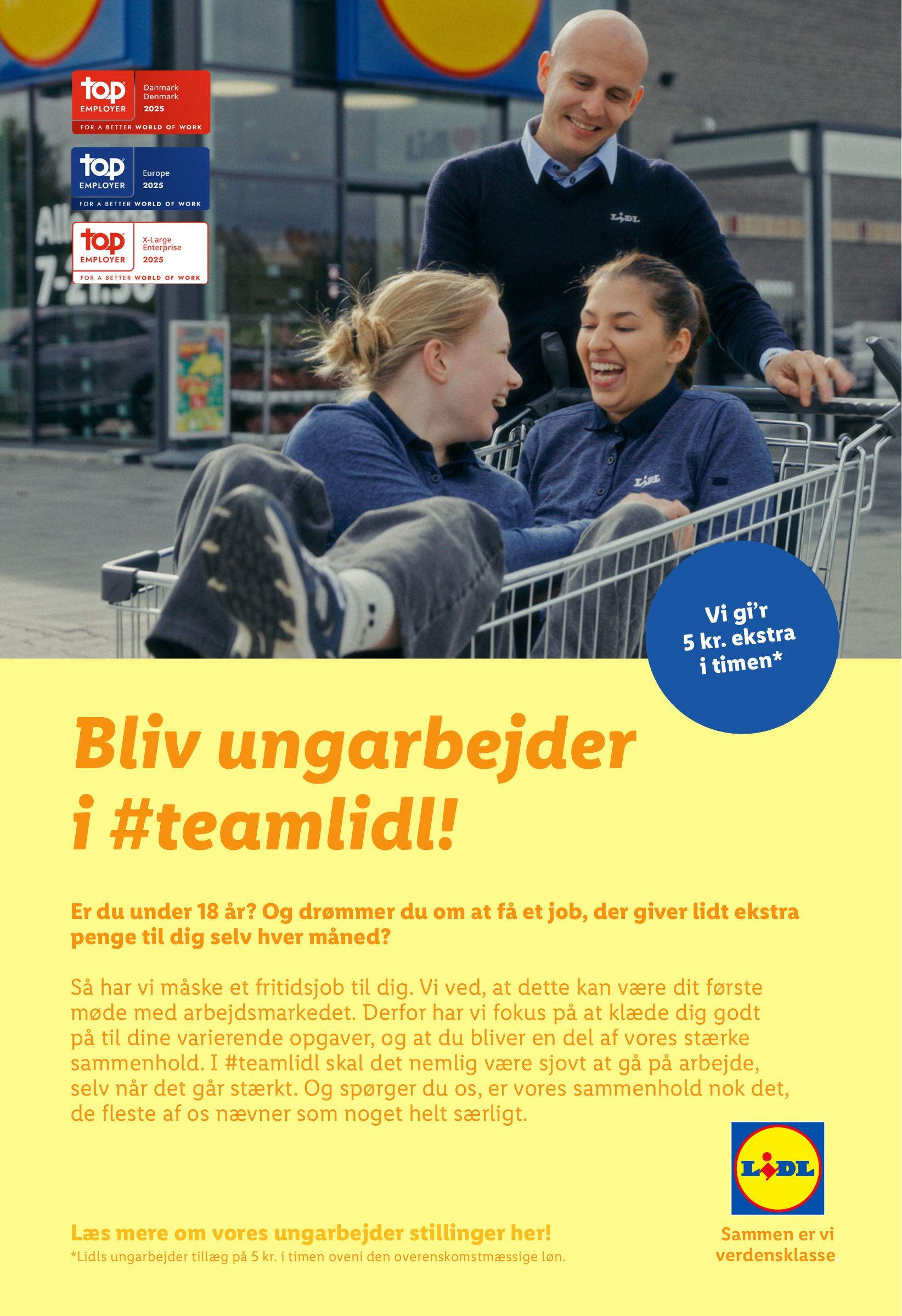 lidl - Lidl tilbudsavis gyldig fra 02.02. - 08.02. - page: 42