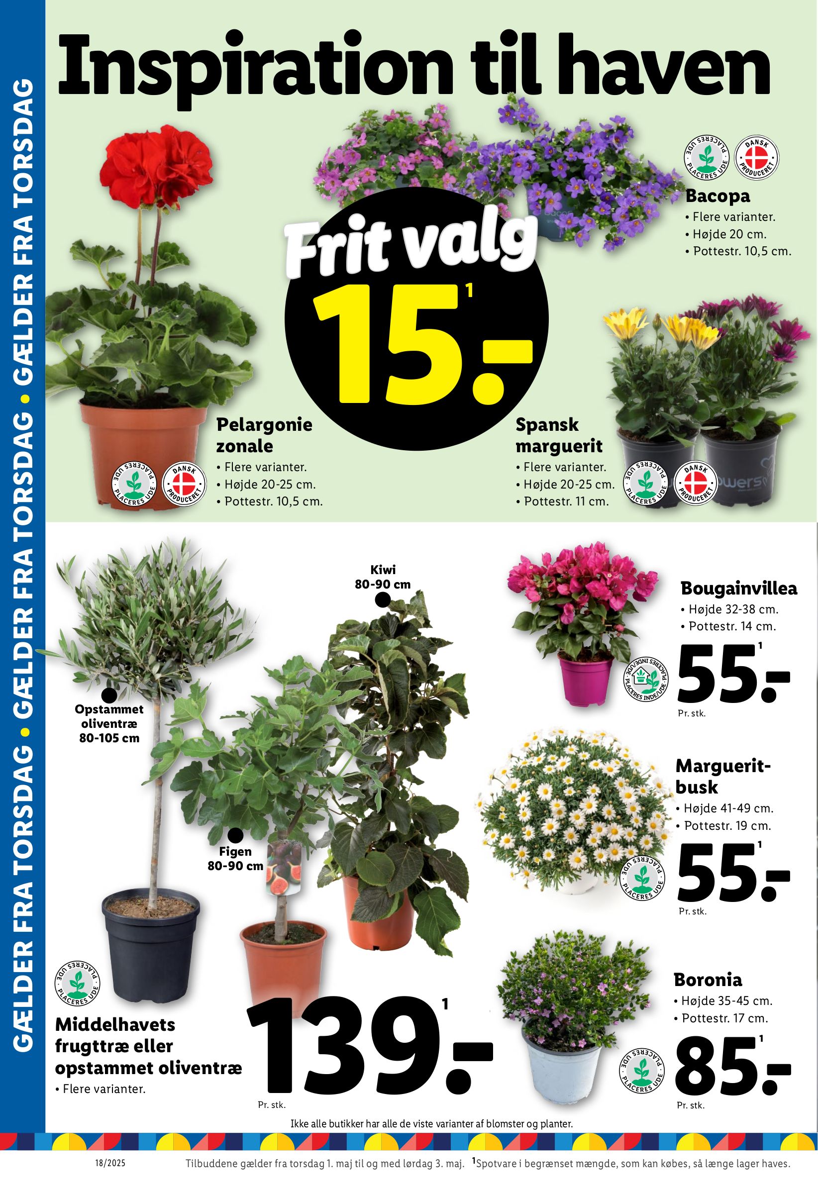 lidl - Lidl tilbudsavis gyldig fra 27.04. - 03.05. - page: 32 lidl - Lidl tilbudsavis gyldig fra 27.04. - 03.05. - page: 32