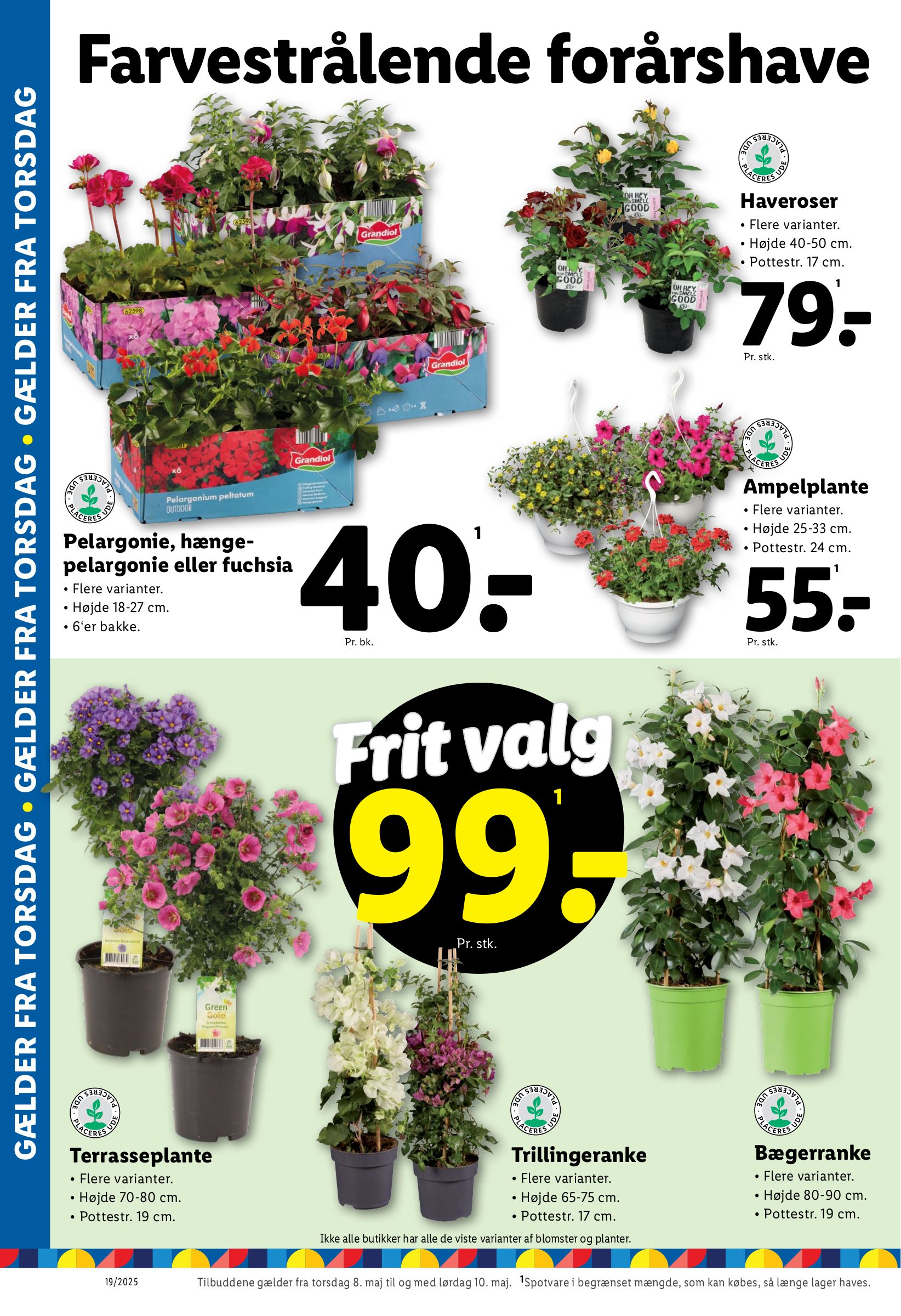 lidl - Lidl tilbudsavis gyldig fra 04.05. - 10.05. - page: 28
