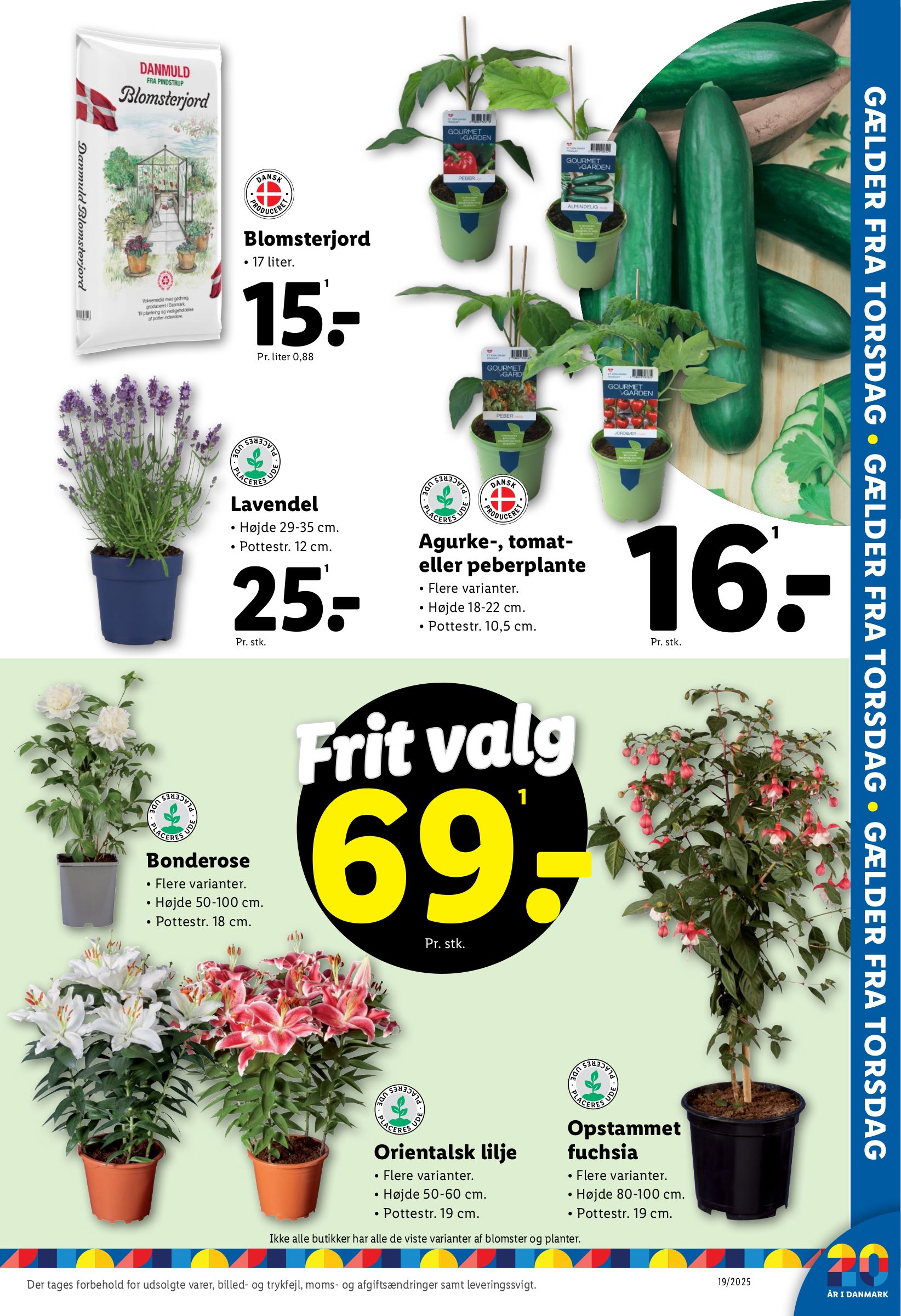 lidl - Lidl tilbudsavis gyldig fra 04.05. - 10.05. - page: 29