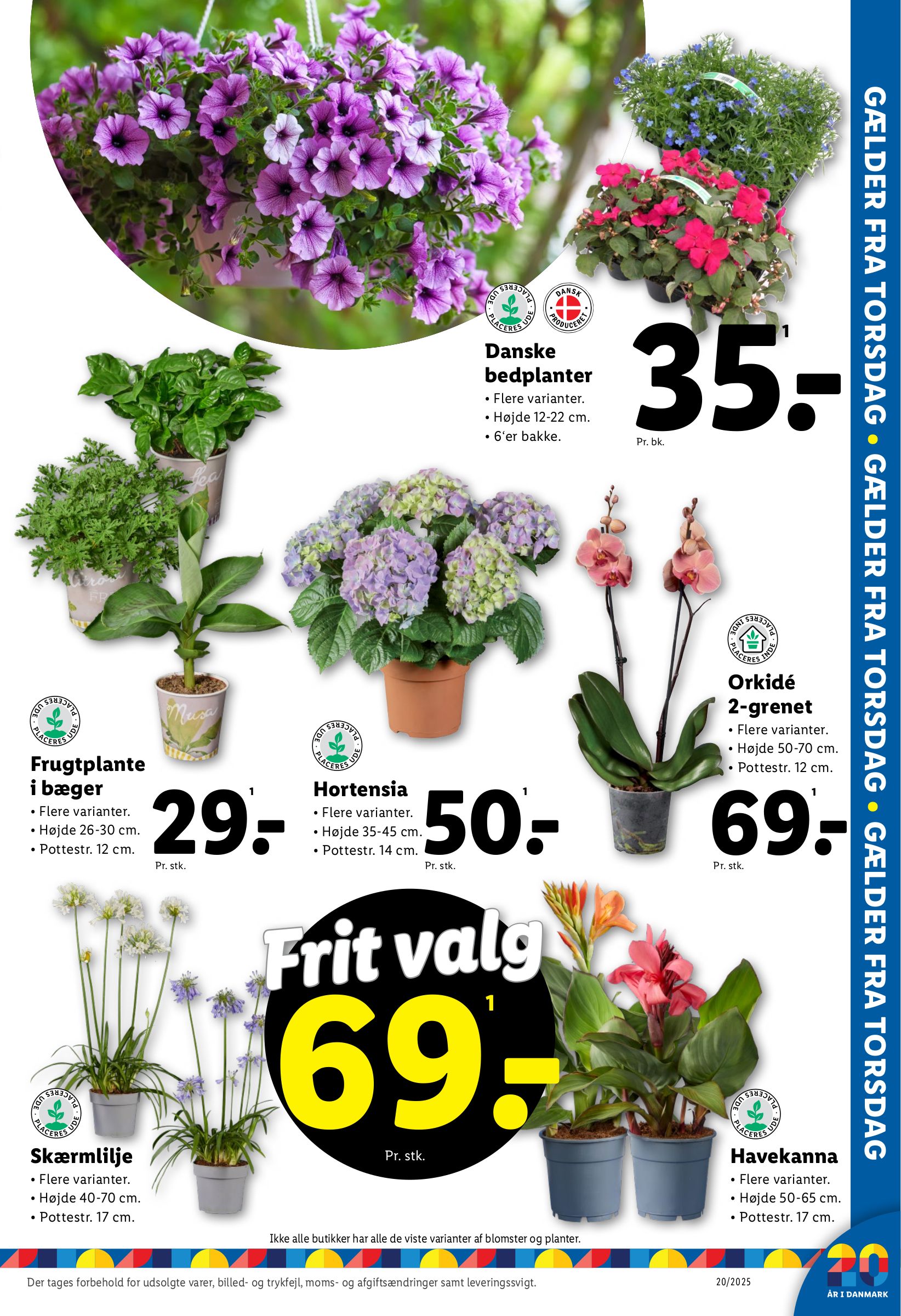 lidl - Lidl tilbudsavis gyldig fra 11.05. - 17.05. - page: 33 lidl - Lidl tilbudsavis gyldig fra 11.05. - 17.05. - page: 33