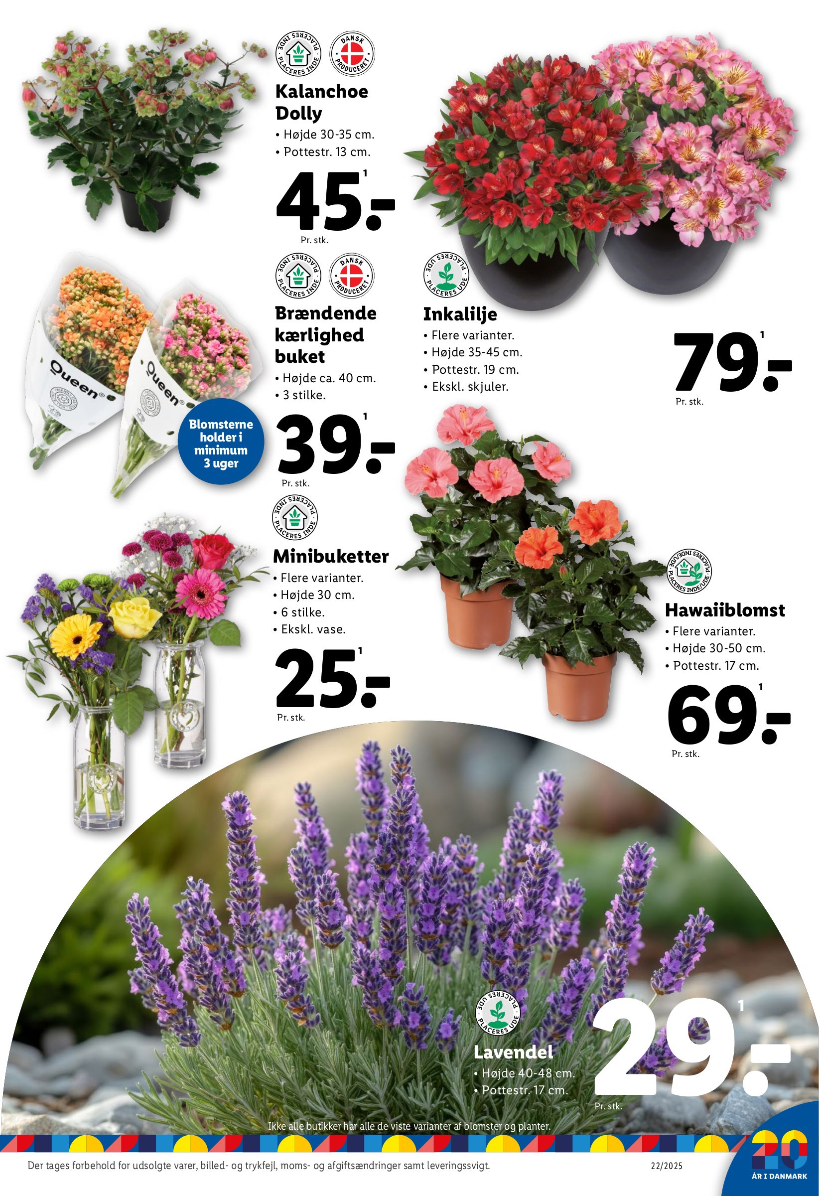 lidl - Lidl tilbudsavis gyldig fra 25.05. - 31.05. - page: 17