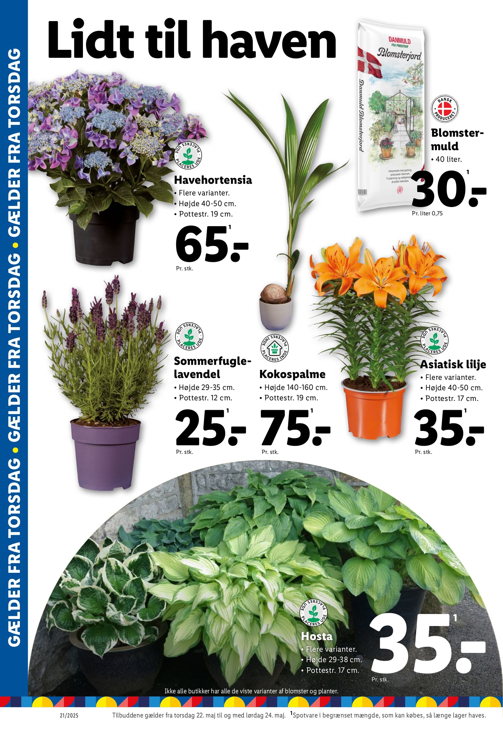 lidl - Lidl tilbudsavis gyldig fra 22.05. - 24.05. - page: 9 lidl - Lidl tilbudsavis gyldig fra 22.05. - 24.05. - page: 9