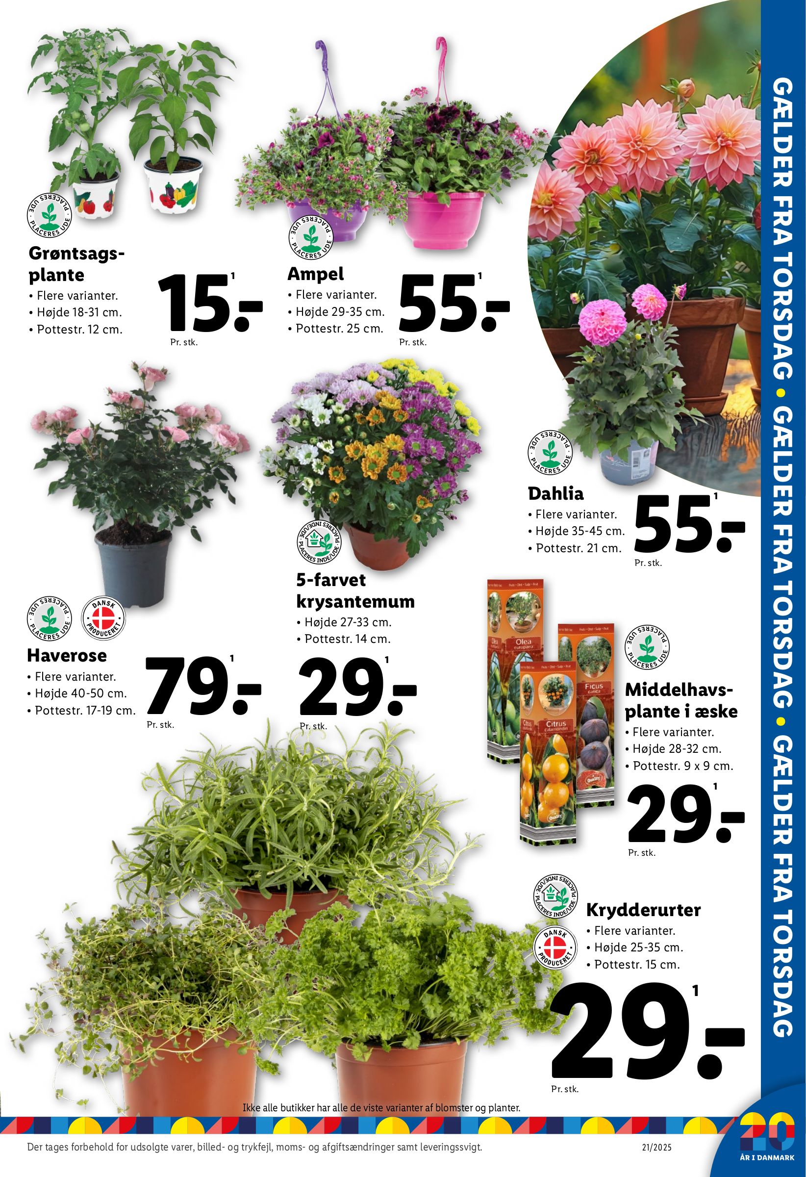 lidl - Lidl tilbudsavis gyldig fra 22.05. - 24.05. - page: 10 lidl - Lidl tilbudsavis gyldig fra 22.05. - 24.05. - page: 10