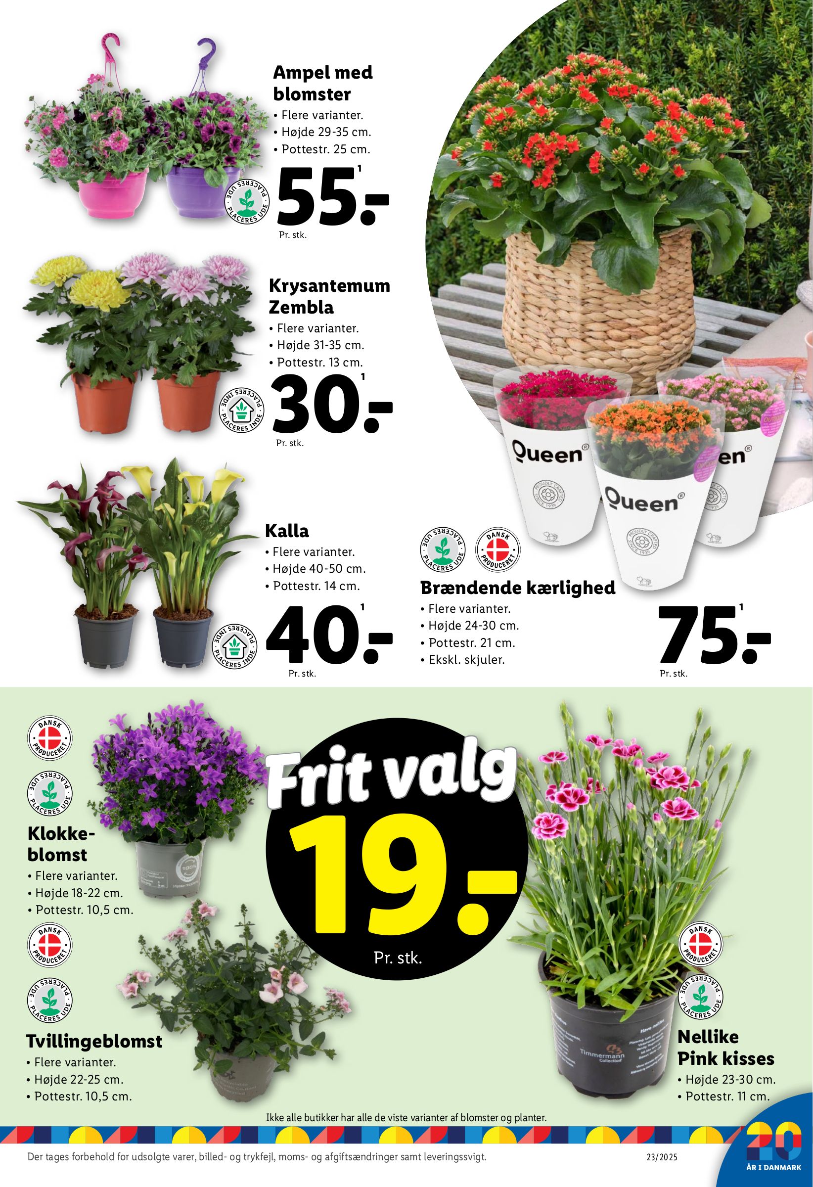 lidl - Lidl tilbudsavis gyldig fra 01.06. - 07.06. - page: 35 lidl - Lidl tilbudsavis gyldig fra 01.06. - 07.06. - page: 35