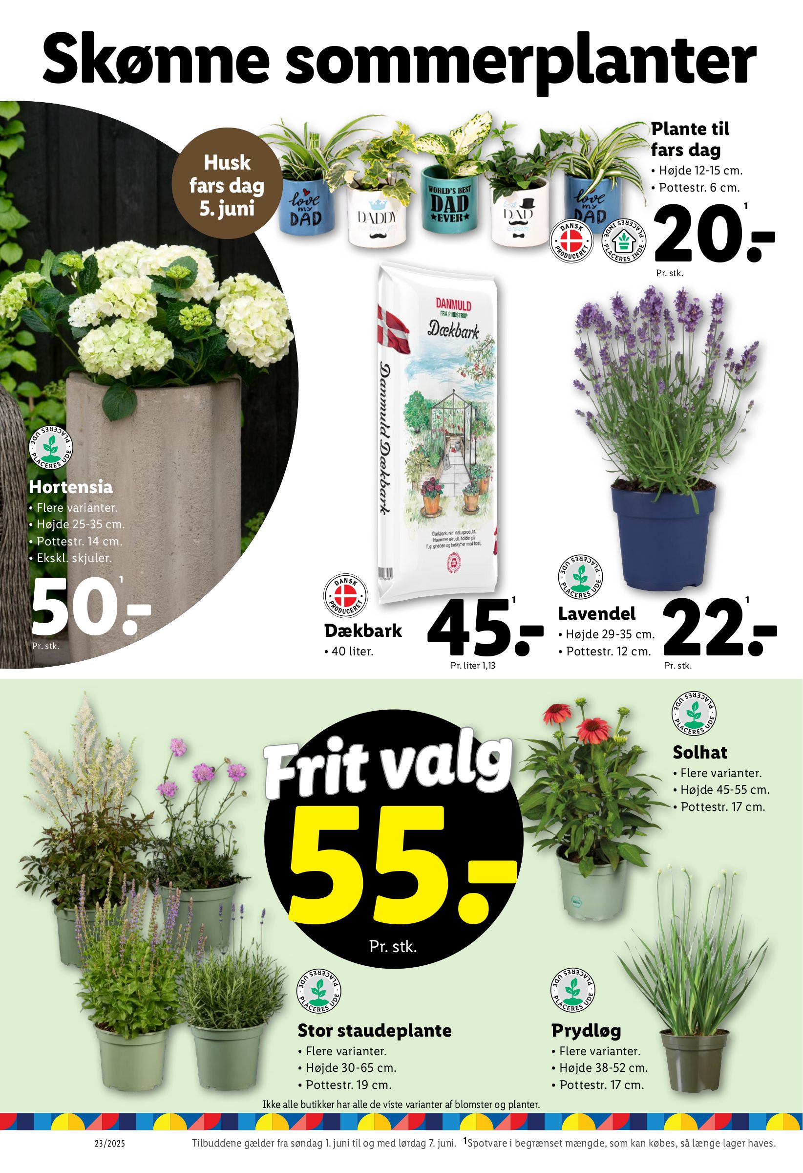 lidl - Lidl tilbudsavis gyldig fra 01.06. - 07.06. - page: 34 lidl - Lidl tilbudsavis gyldig fra 01.06. - 07.06. - page: 34