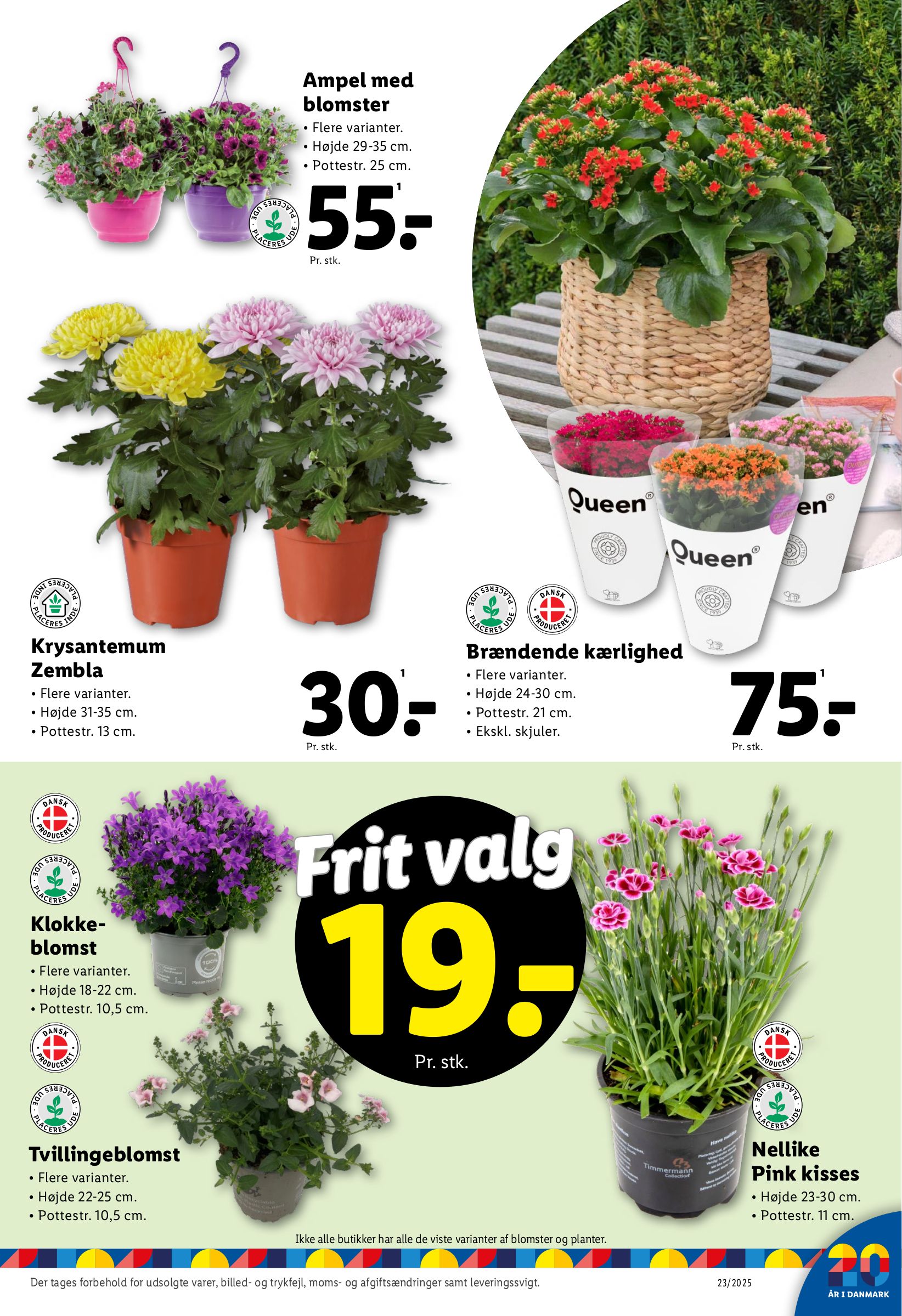 lidl - Lidl tilbudsavis gyldig fra 04.06. til 07.06. - page: 45