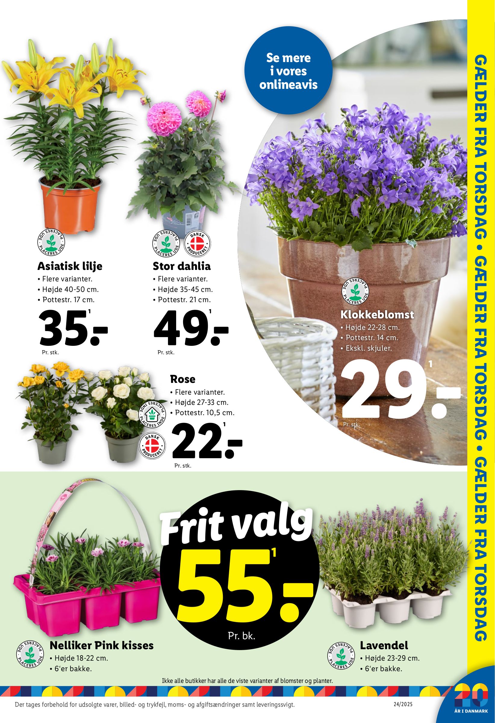lidl - Lidl tilbudsavis gyldig fra 10.06. til 14.06. - page: 32