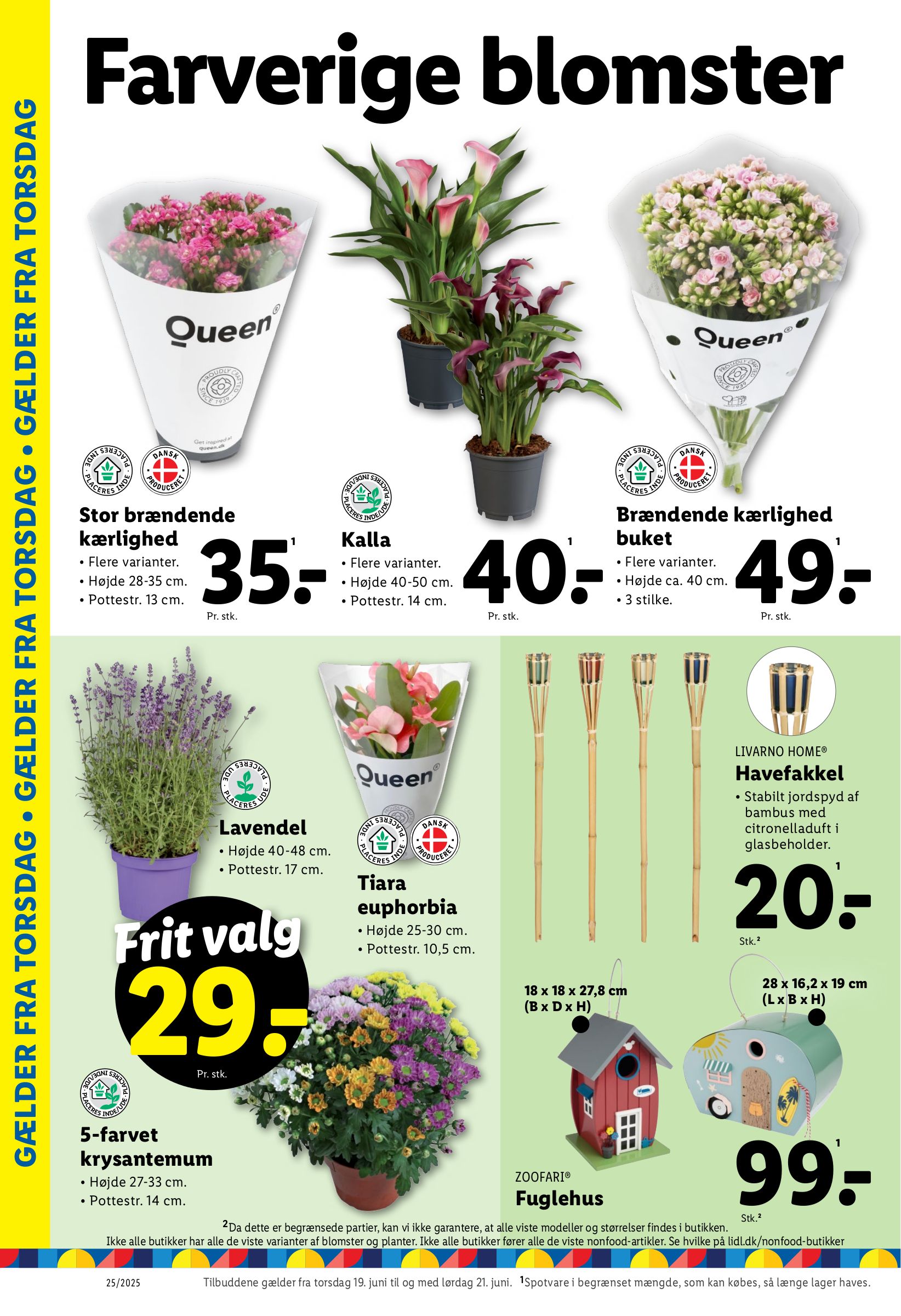 lidl - Lidl - Tilbud tilbudsavis gyldig fra 15.06. til 21.06. - page: 12 lidl - Lidl - Tilbud tilbudsavis gyldig fra 15.06. til 21.06. - page: 12
