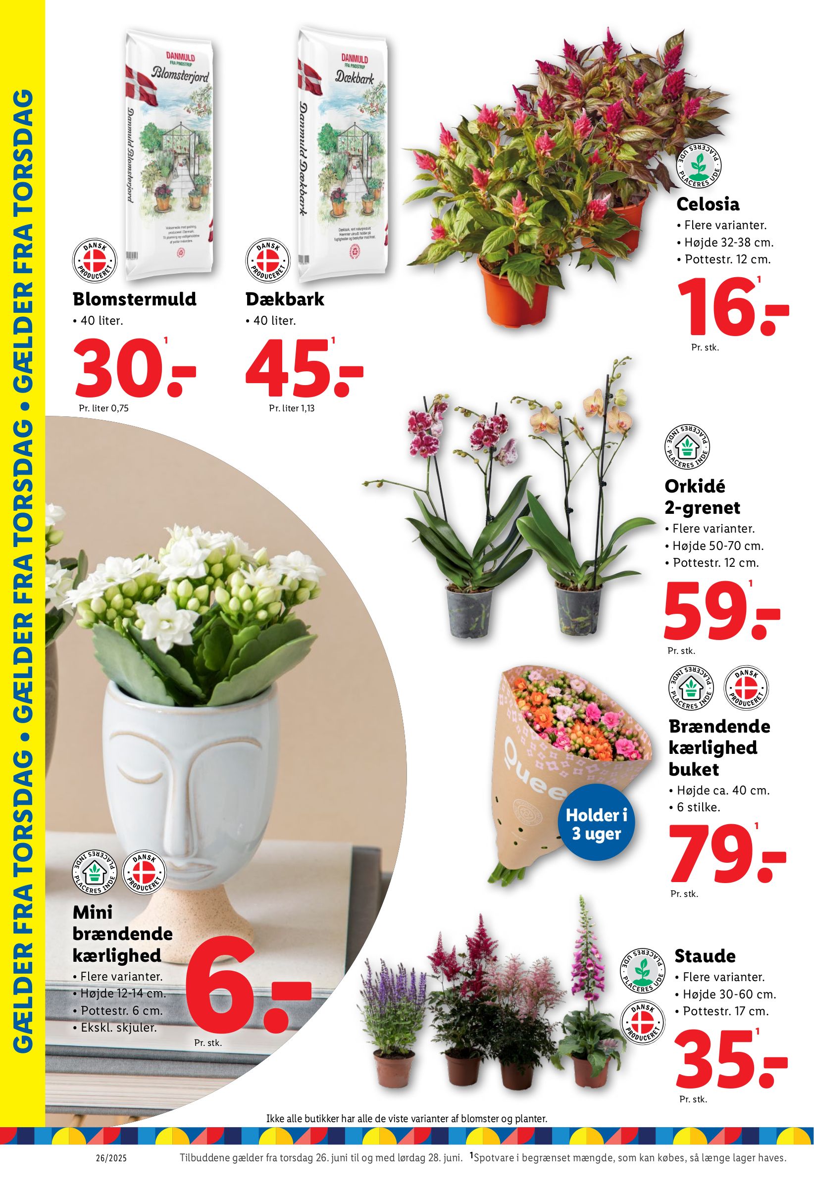 lidl - Lidl tilbudsavis gyldig fra 22.06. til 28.06. - page: 41 lidl - Lidl tilbudsavis gyldig fra 22.06. til 28.06. - page: 41