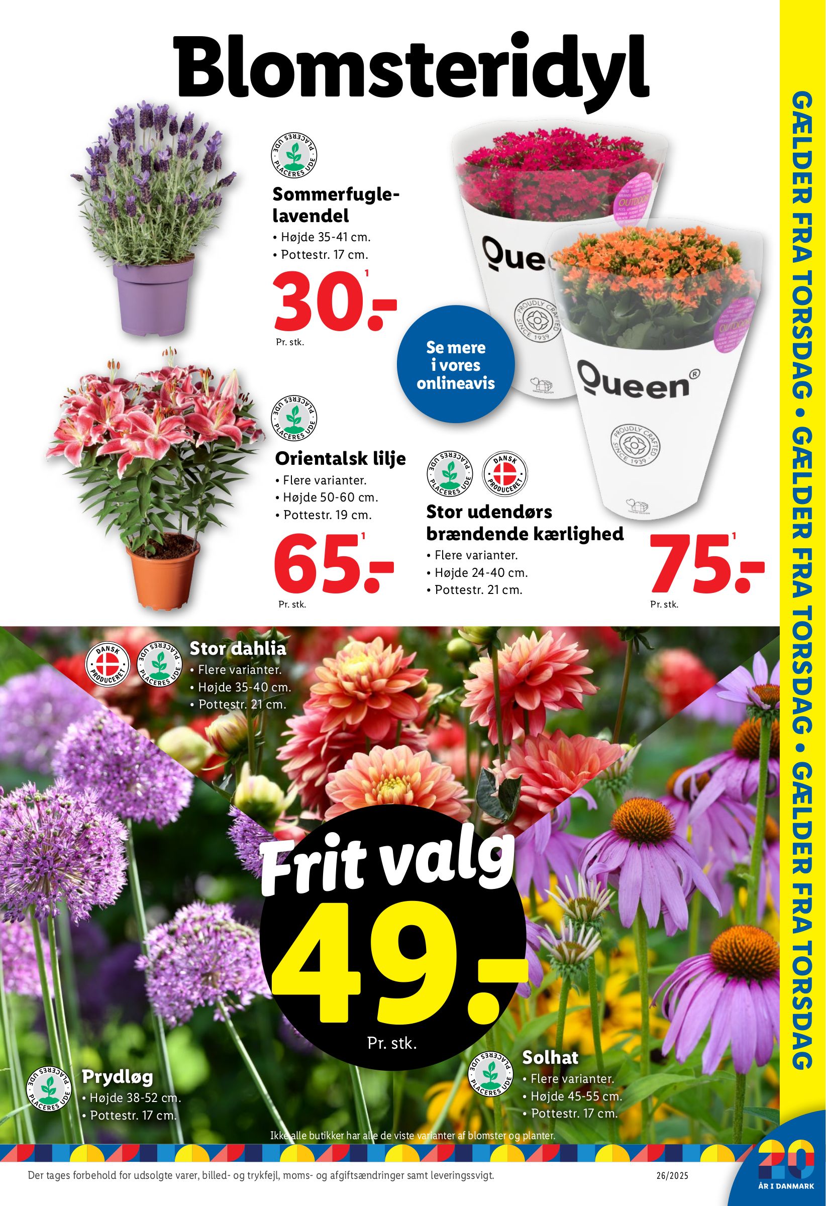 lidl - Lidl - Tilbud tilbudsavis gyldig fra 22.06. til 28.06. - page: 13 lidl - Lidl - Tilbud tilbudsavis gyldig fra 22.06. til 28.06. - page: 13