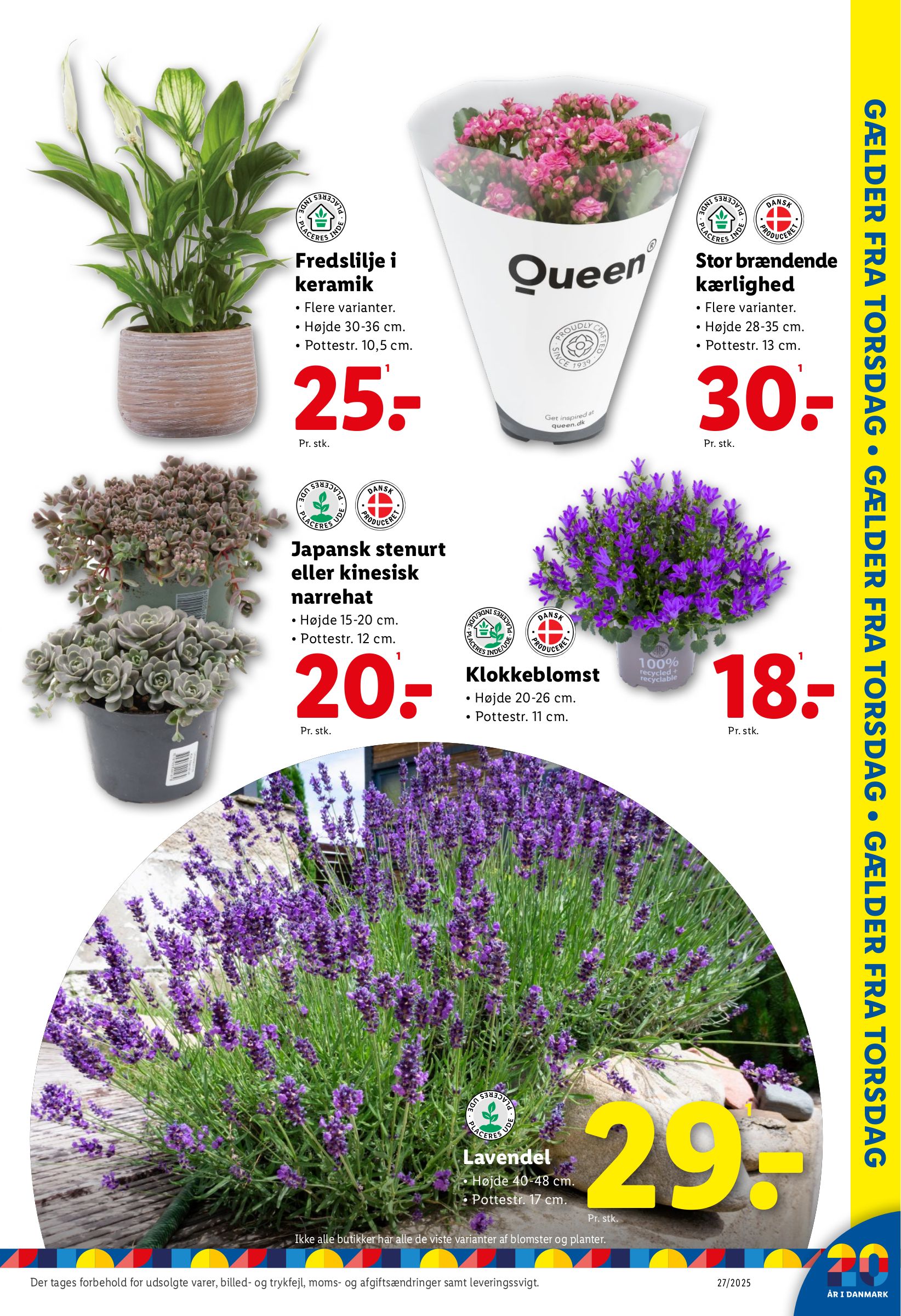 lidl - Lidl tilbudsavis gyldig fra 29.06. til 05.07. - page: 39 lidl - Lidl tilbudsavis gyldig fra 29.06. til 05.07. - page: 39