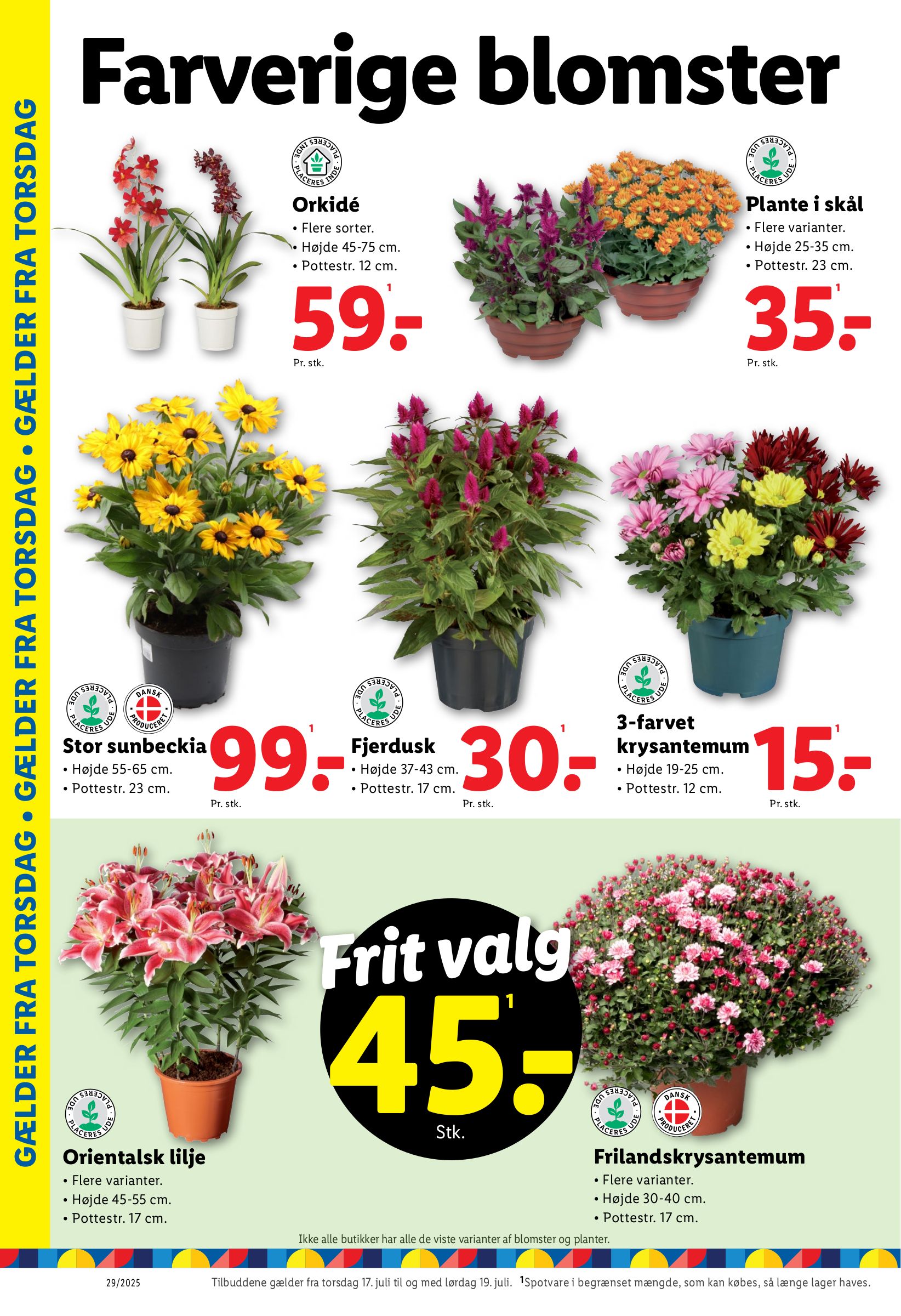 lidl - Lidl tilbudsavis gyldig fra 13.07. til 19.07. - page: 34