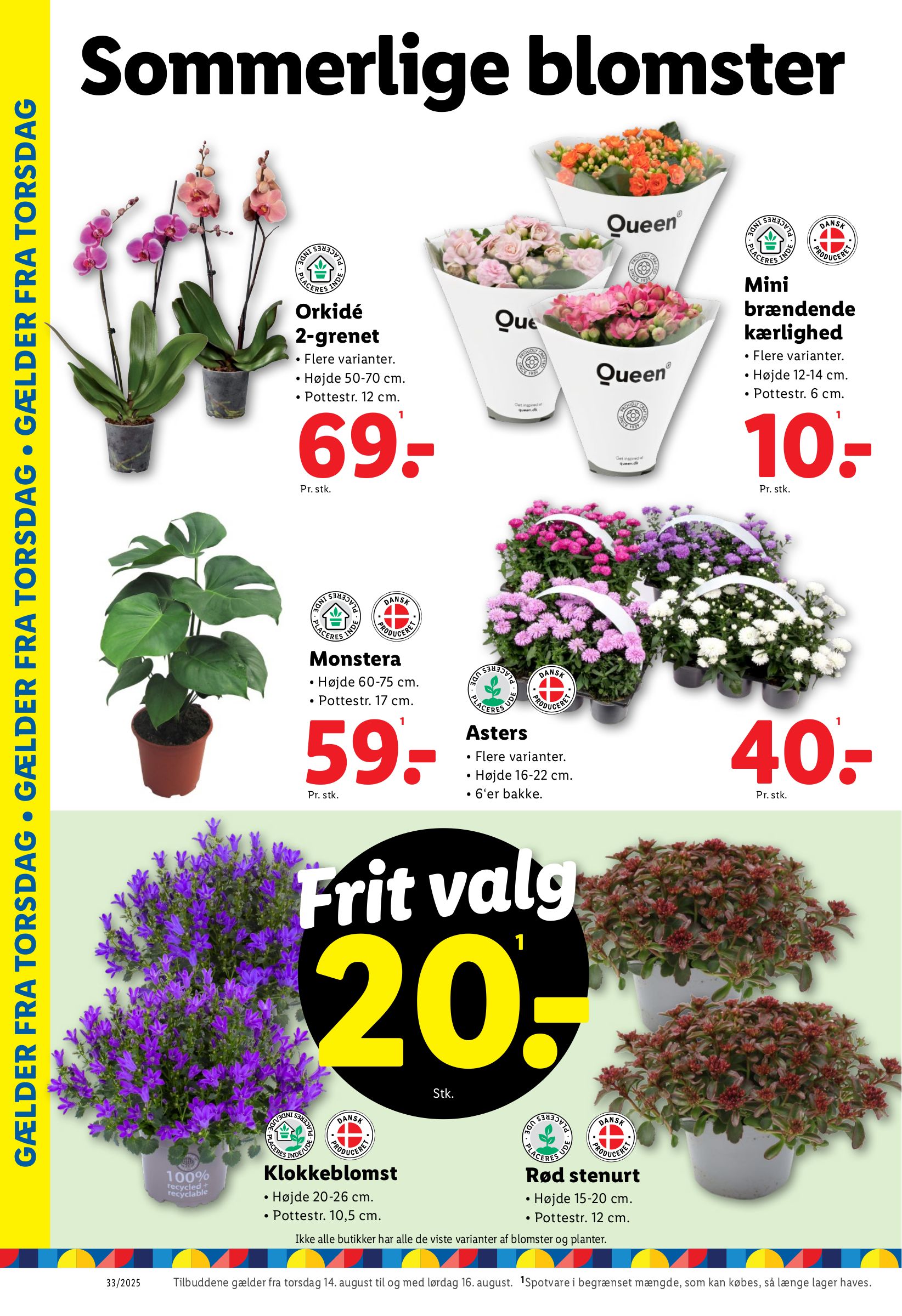 lidl - Lidl tilbudsavis gyldig fra 10.08. til 16.08. - page: 24