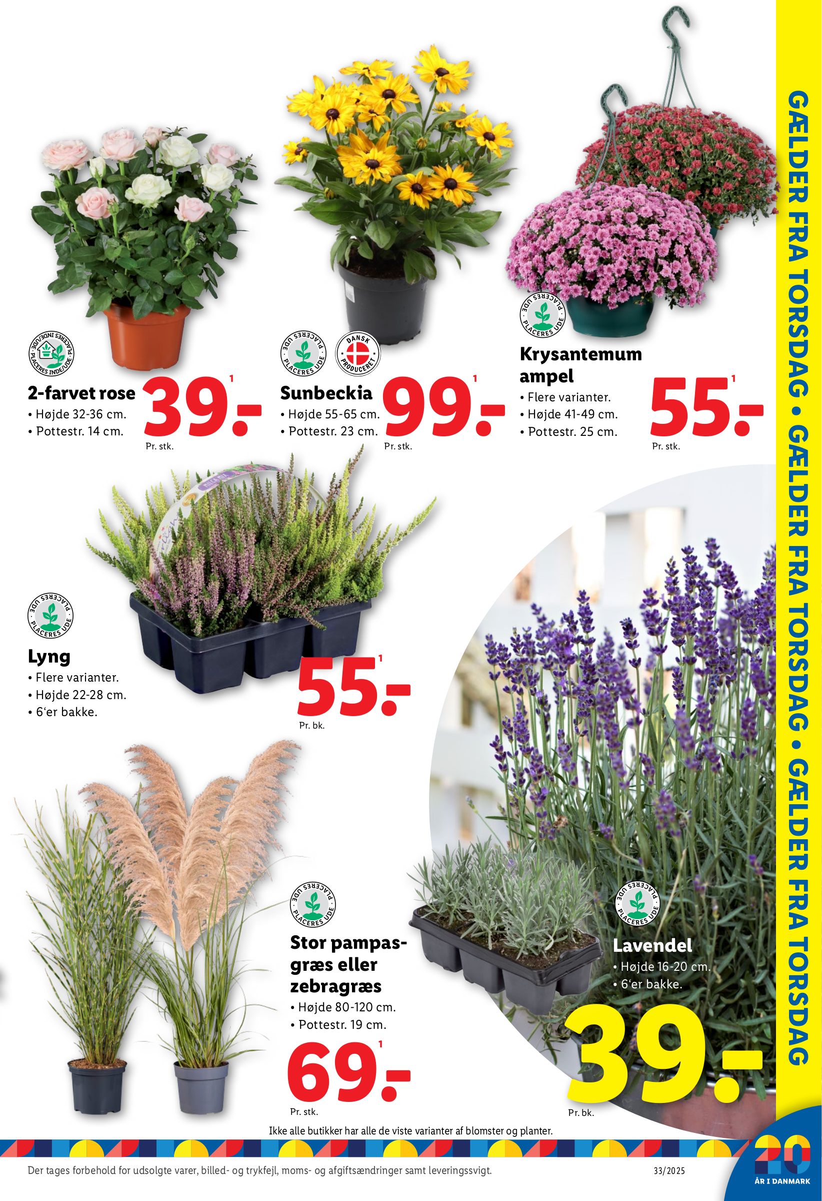 lidl - Lidl tilbudsavis gyldig fra 10.08. til 16.08. - page: 25