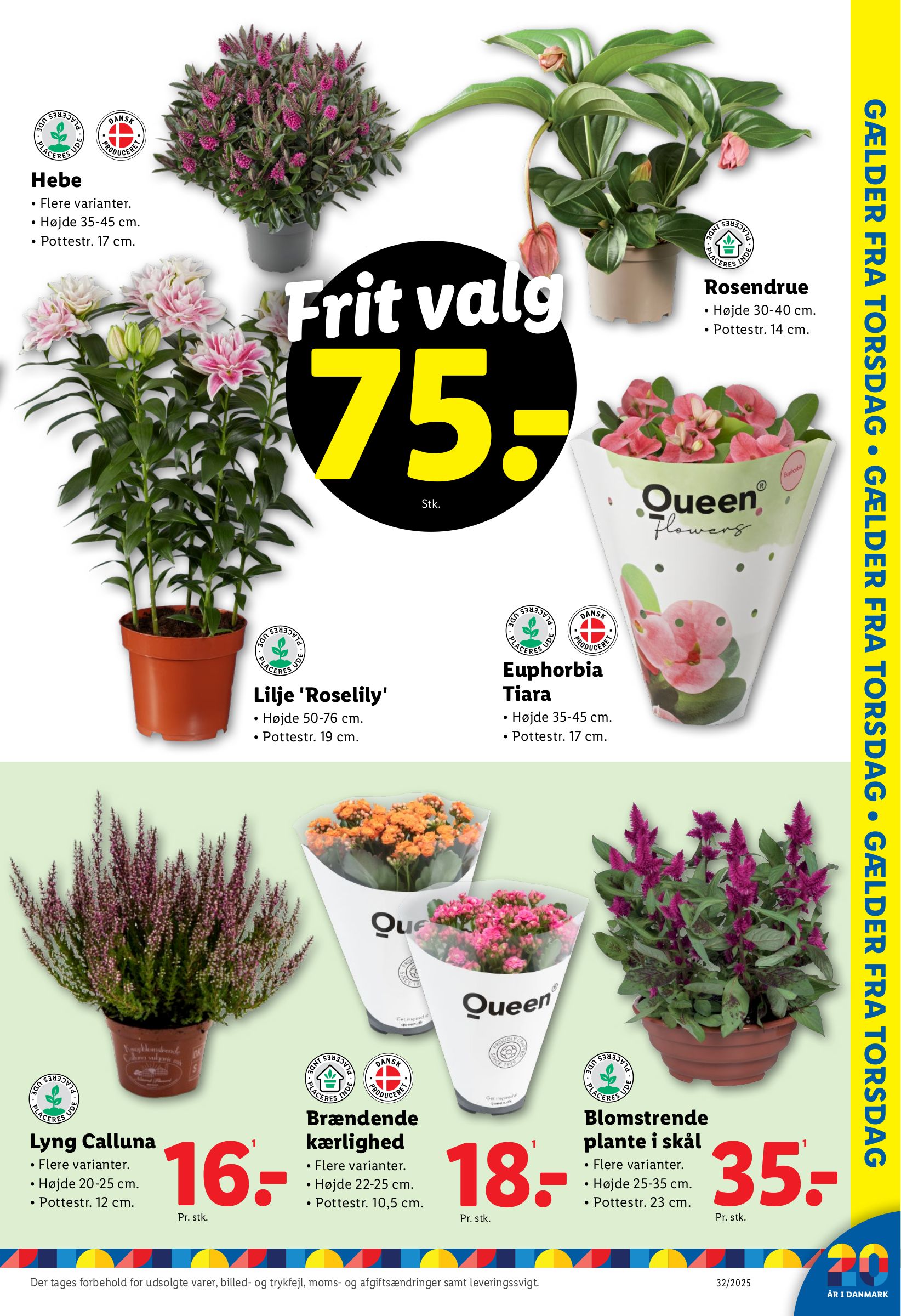 lidl - Lidl tilbudsavis gyldig fra 07.08. til 09.08. - page: 13