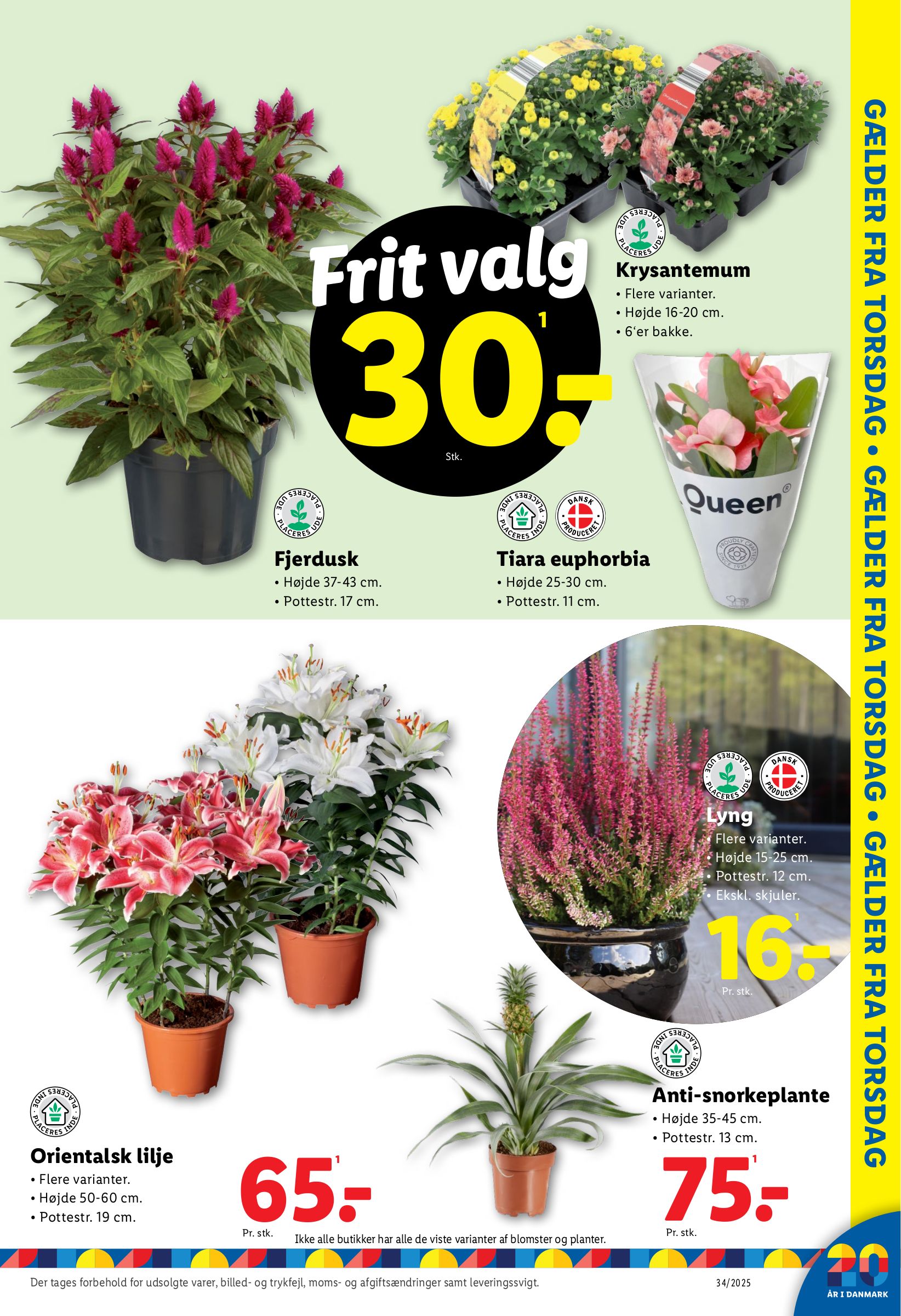 lidl - Lidl tilbudsavis gyldig fra 21.08. til 23.08. - page: 10