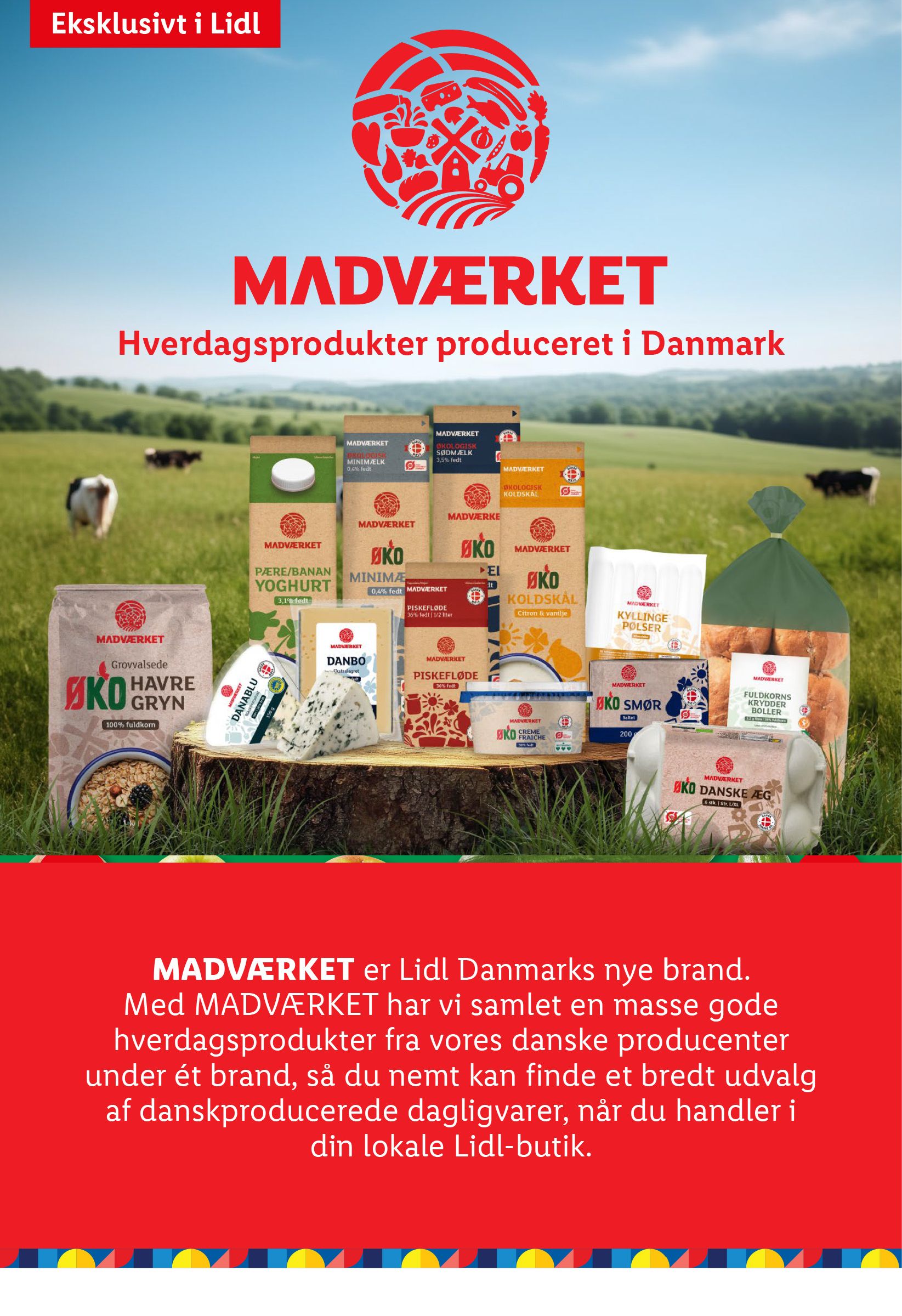 lidl - Lidl tilbudsavis gyldig fra 21.08. til 23.08. - page: 13