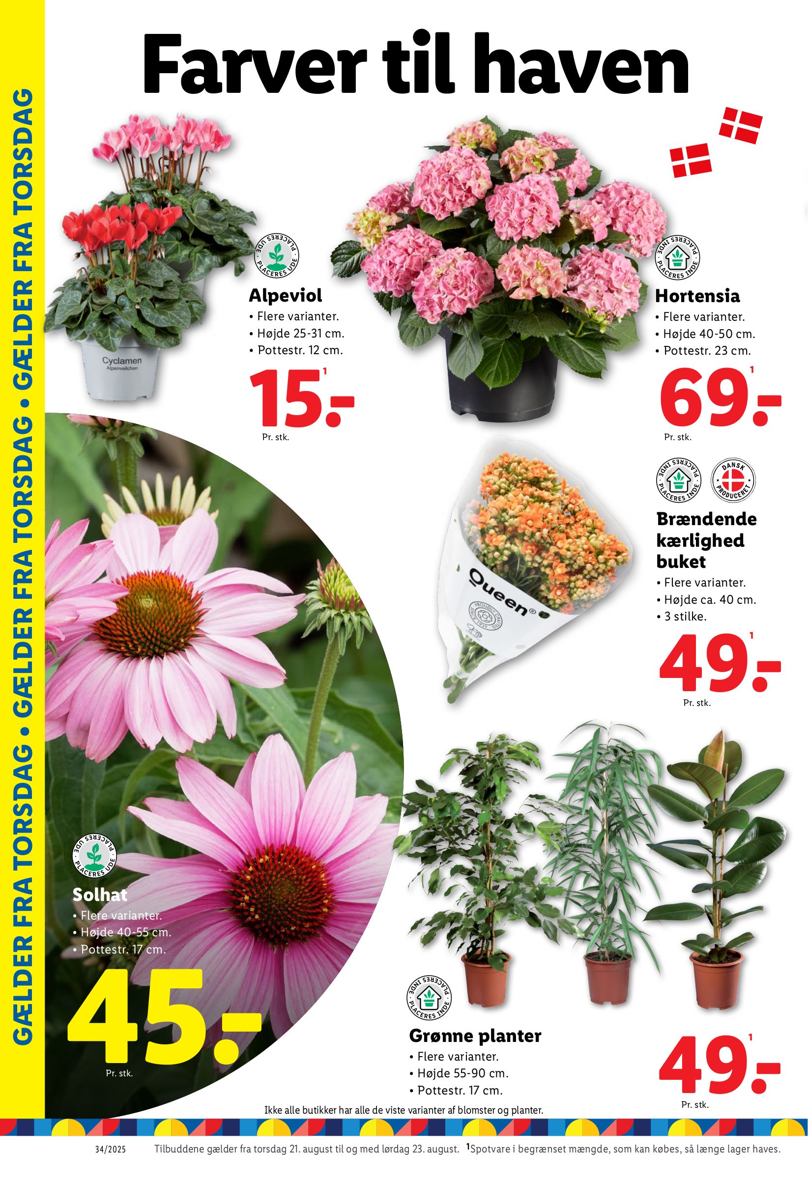 lidl - Lidl tilbudsavis gyldig fra 21.08. til 23.08. - page: 11