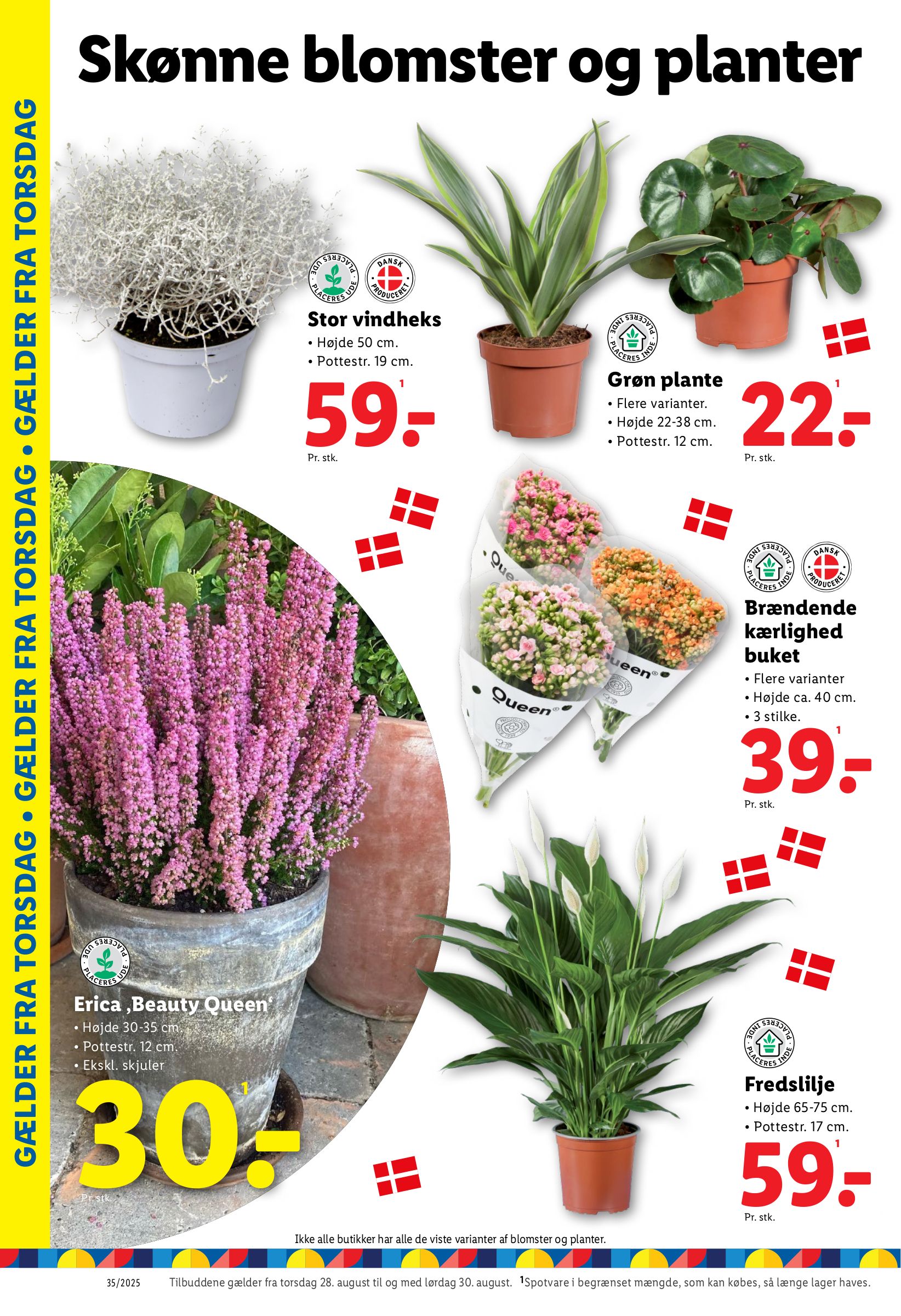 lidl - Lidl tilbudsavis gyldig fra 24.08. til 30.08. - page: 32