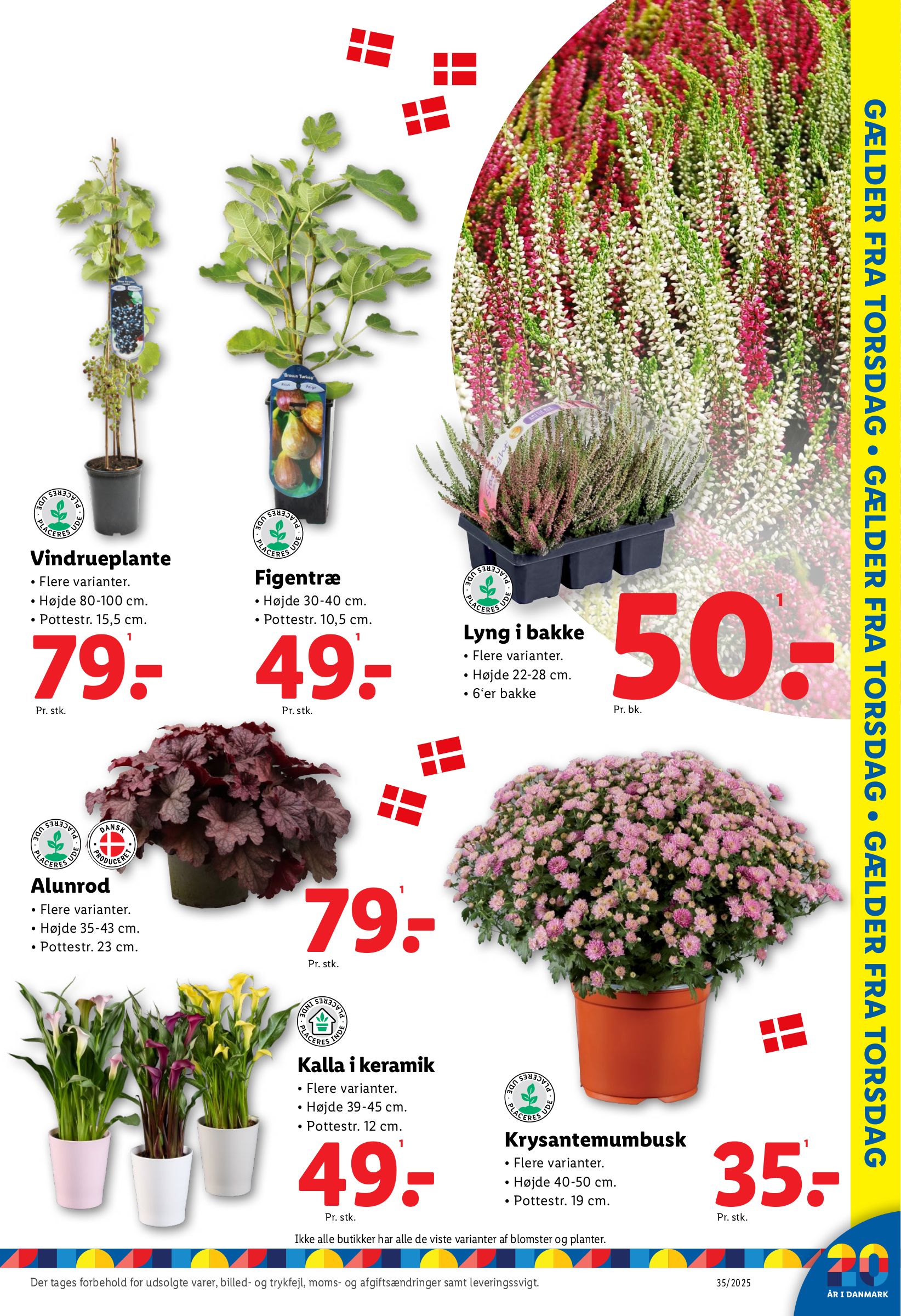 lidl - Lidl tilbudsavis gyldig fra 28.08. til 30.08. - page: 9