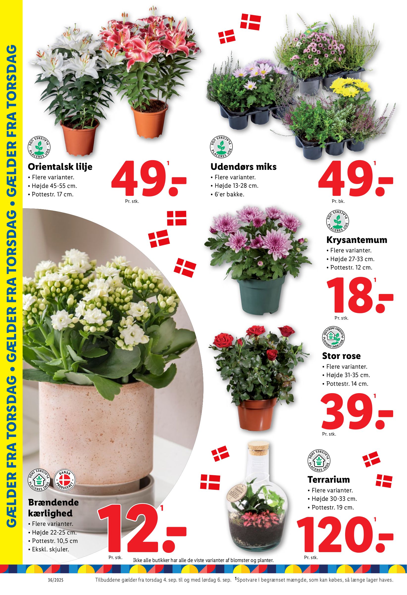 lidl - Lidl tilbudsavis gyldig fra 31.08. til 06.09. - page: 34