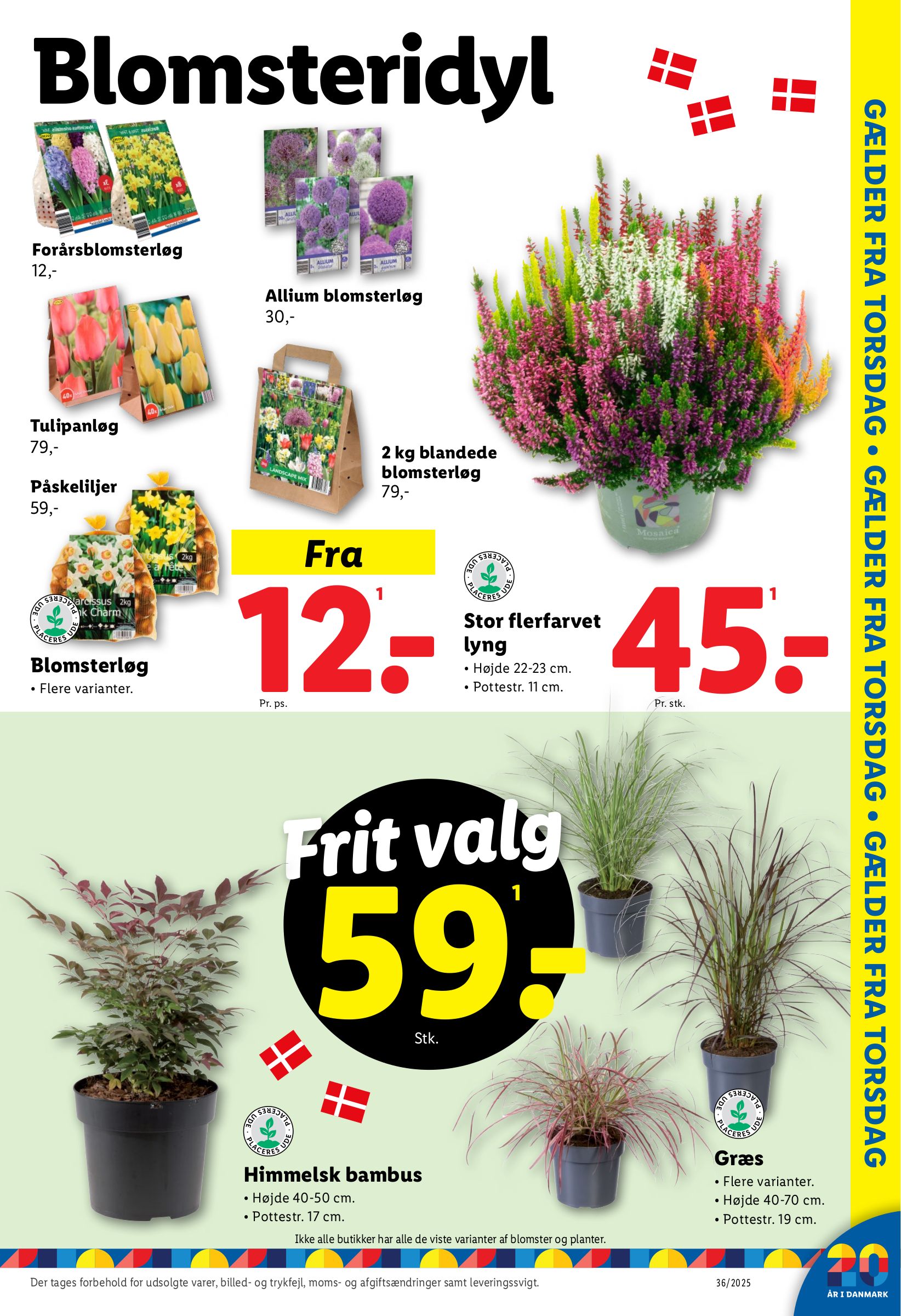 lidl - Lidl tilbudsavis gyldig fra 31.08. til 06.09. - page: 35