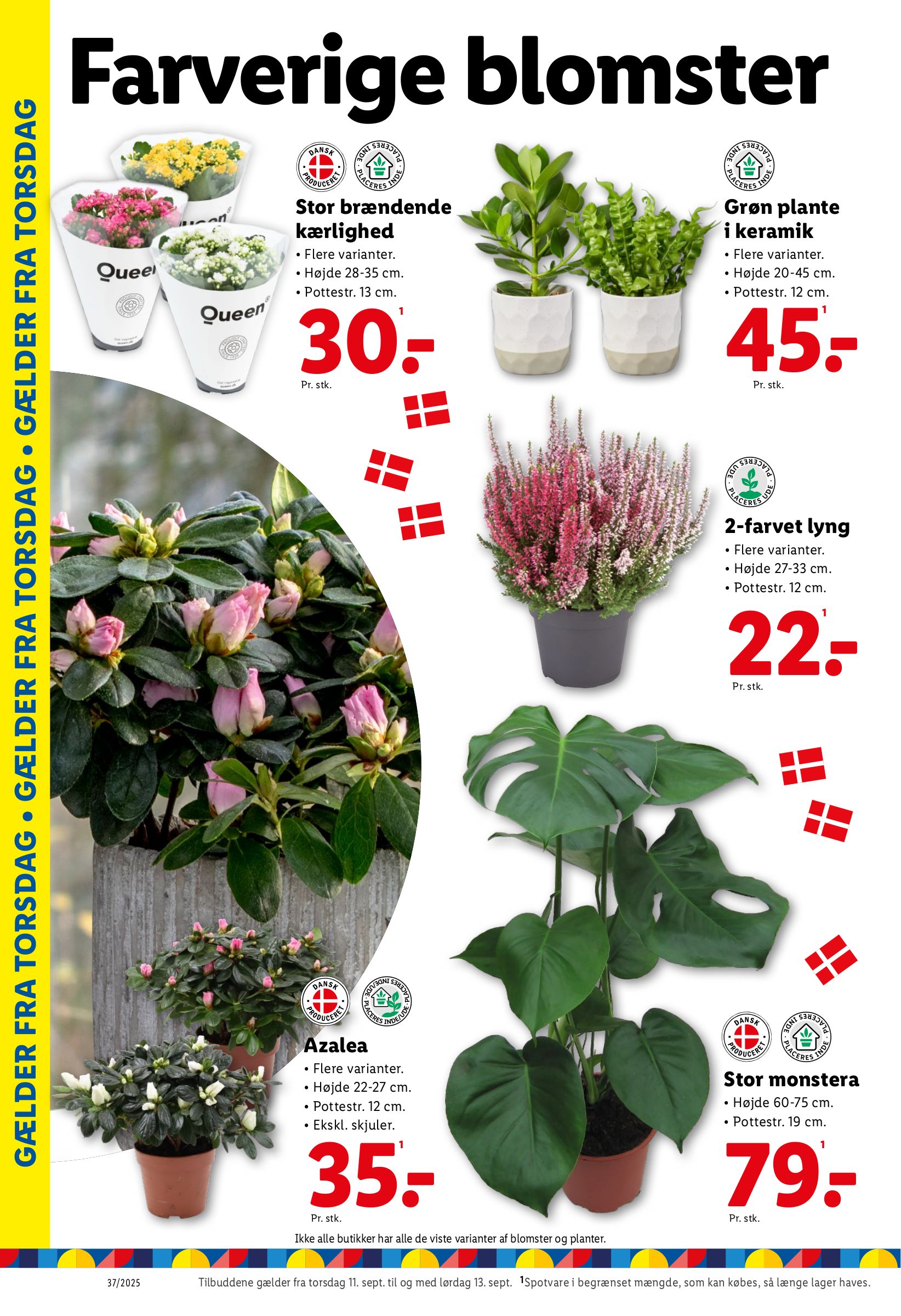 lidl - Lidl tilbudsavis gyldig fra 07.09. til 13.09. - page: 26
