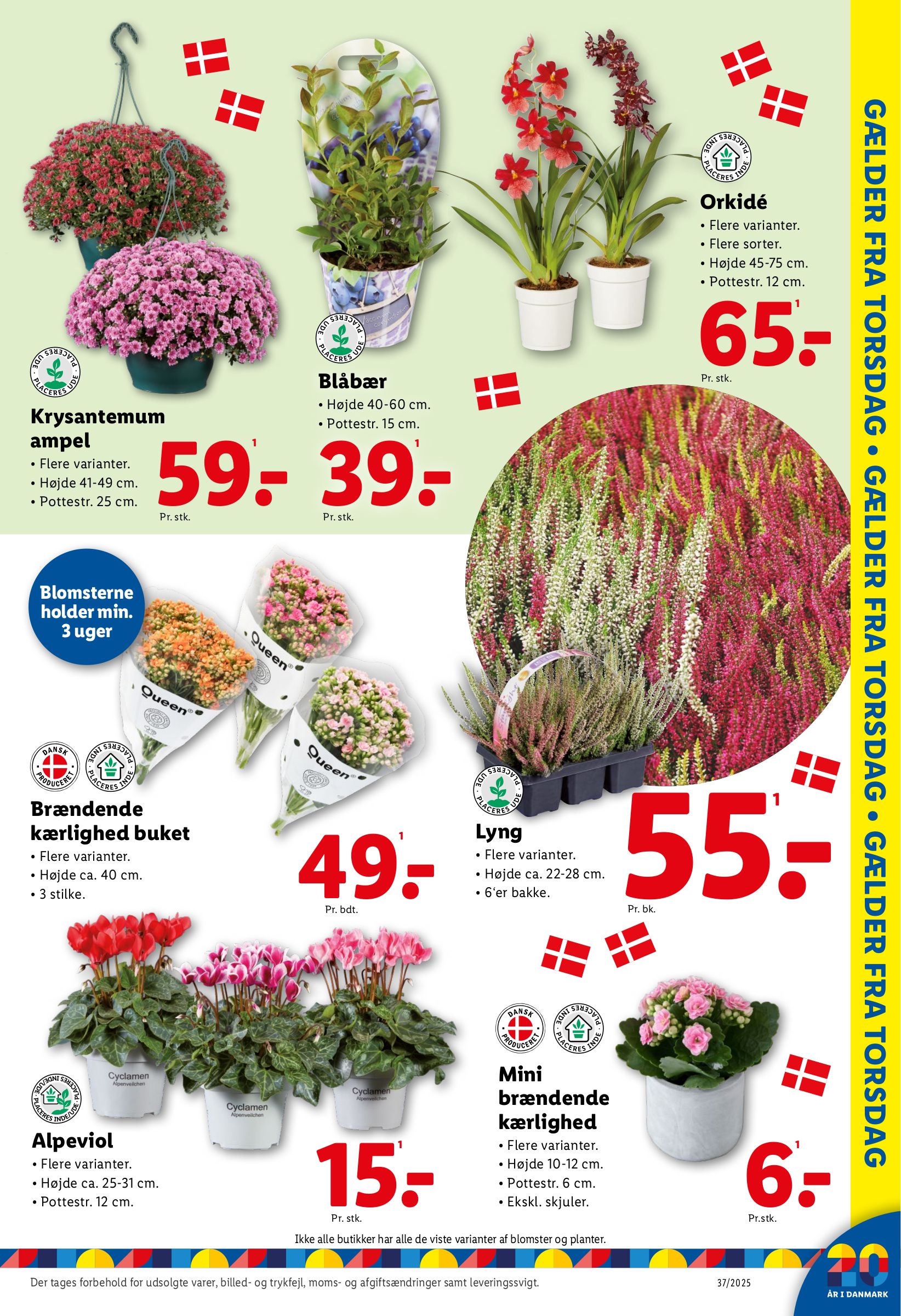 lidl - Lidl tilbudsavis gyldig fra 07.09. til 13.09. - page: 27