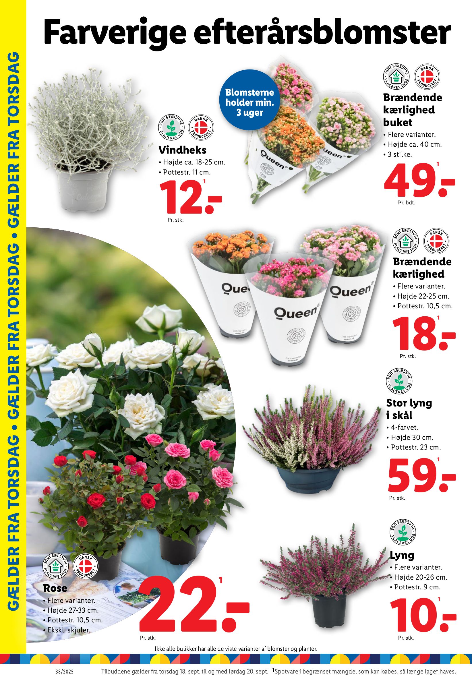 lidl - Lidl tilbudsavis gyldig fra 14.09. til 20.09. - page: 27