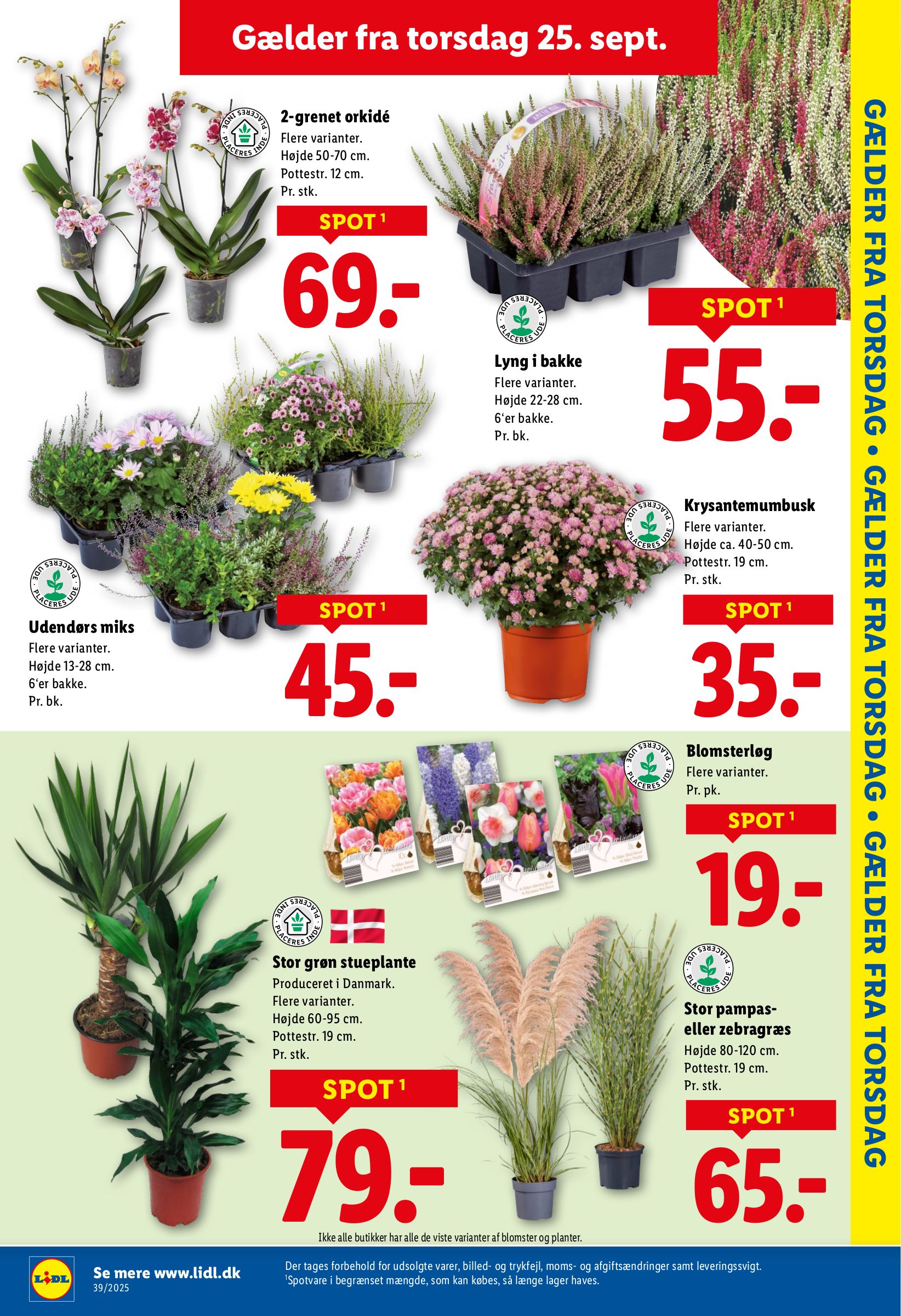 lidl - Lidl tilbudsavis gyldig fra 21.09. til 27.09. - page: 28