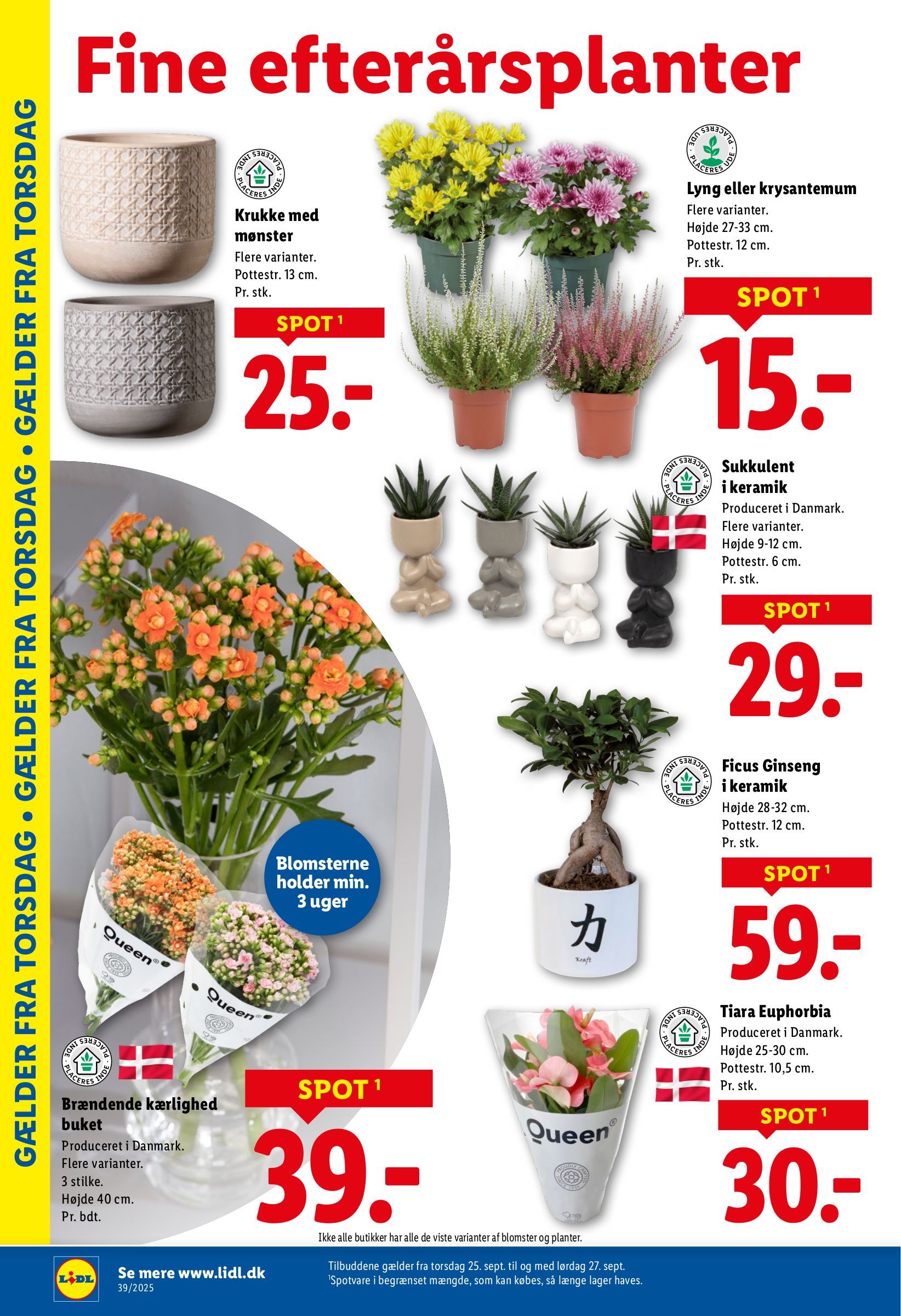 lidl - Lidl tilbudsavis gyldig fra 21.09. til 27.09. - page: 27