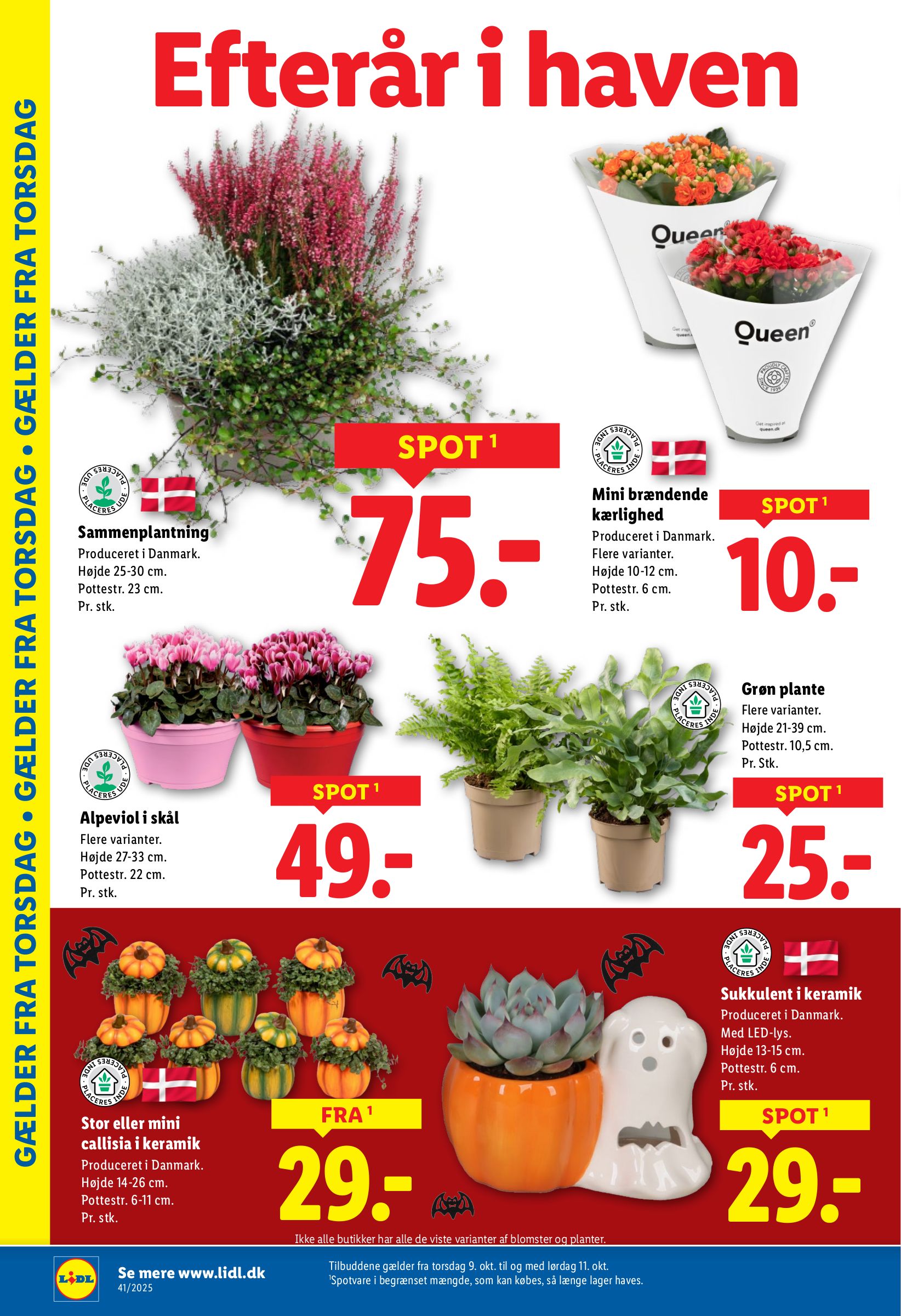 lidl - Lidl tilbudsavis gyldig fra 05.10. til 11.10. - page: 29