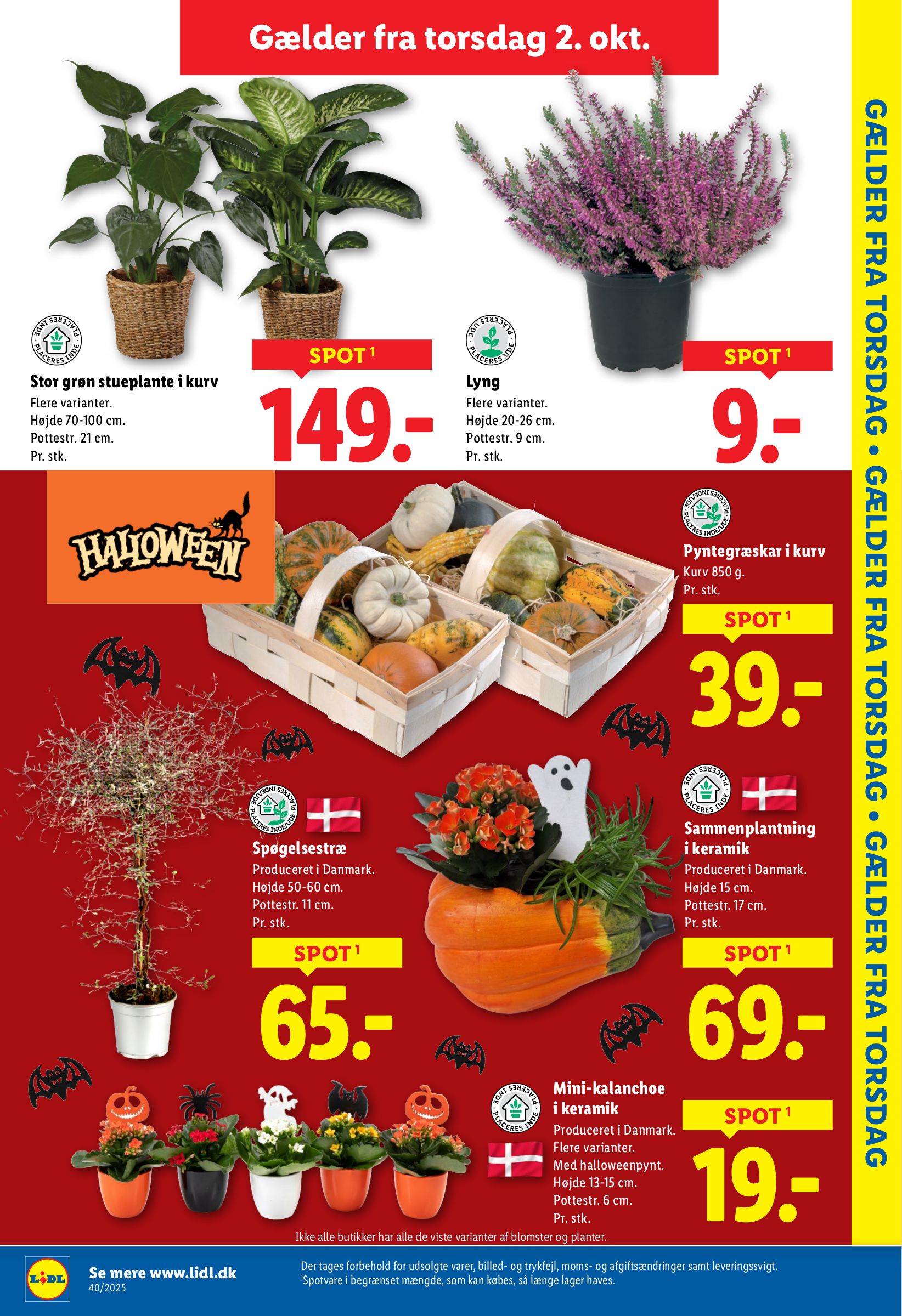 lidl - Lidl tilbudsavis gyldig fra 02.10. til 04.10. - page: 11