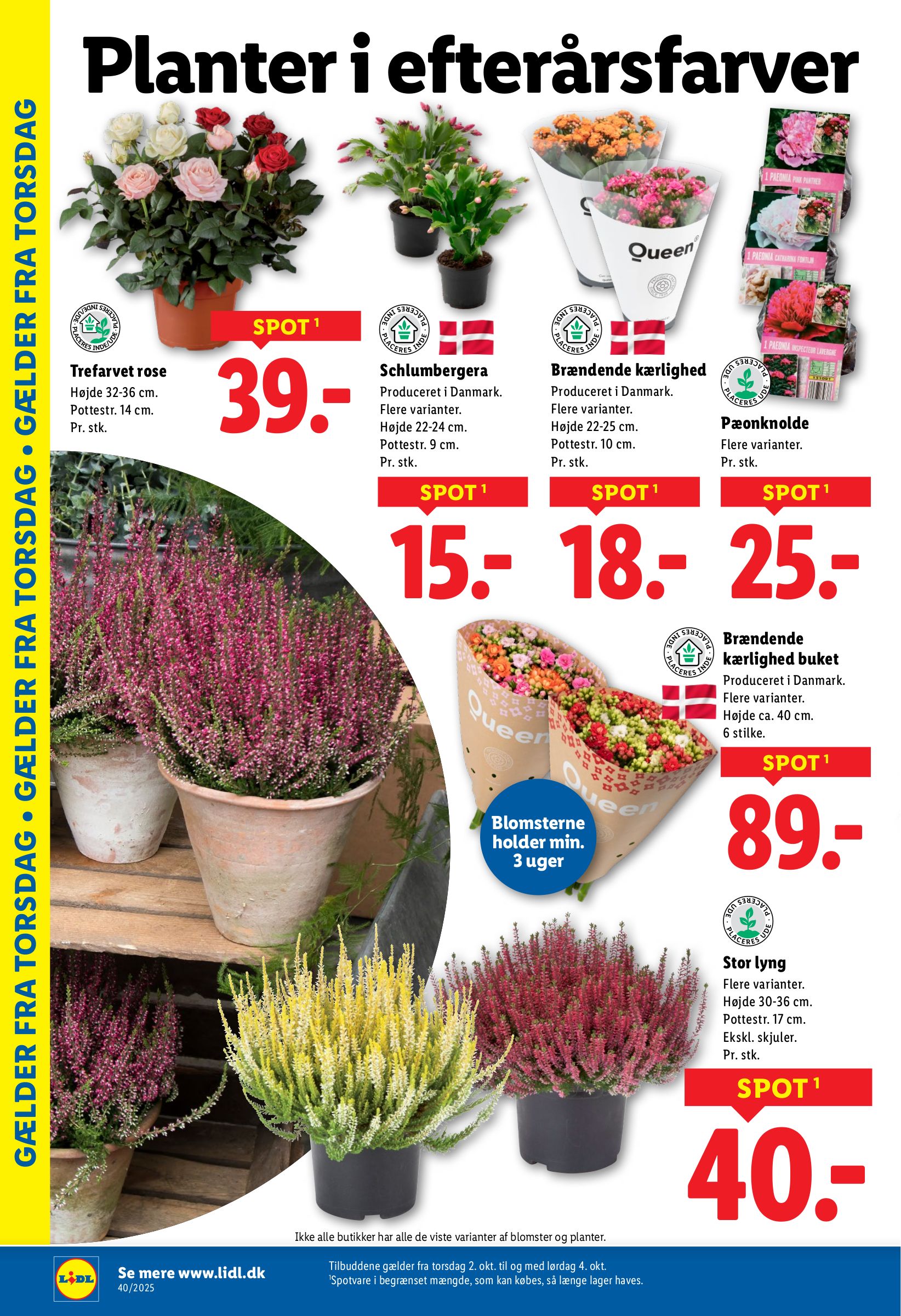 lidl - Lidl tilbudsavis gyldig fra 02.10. til 04.10. - page: 10