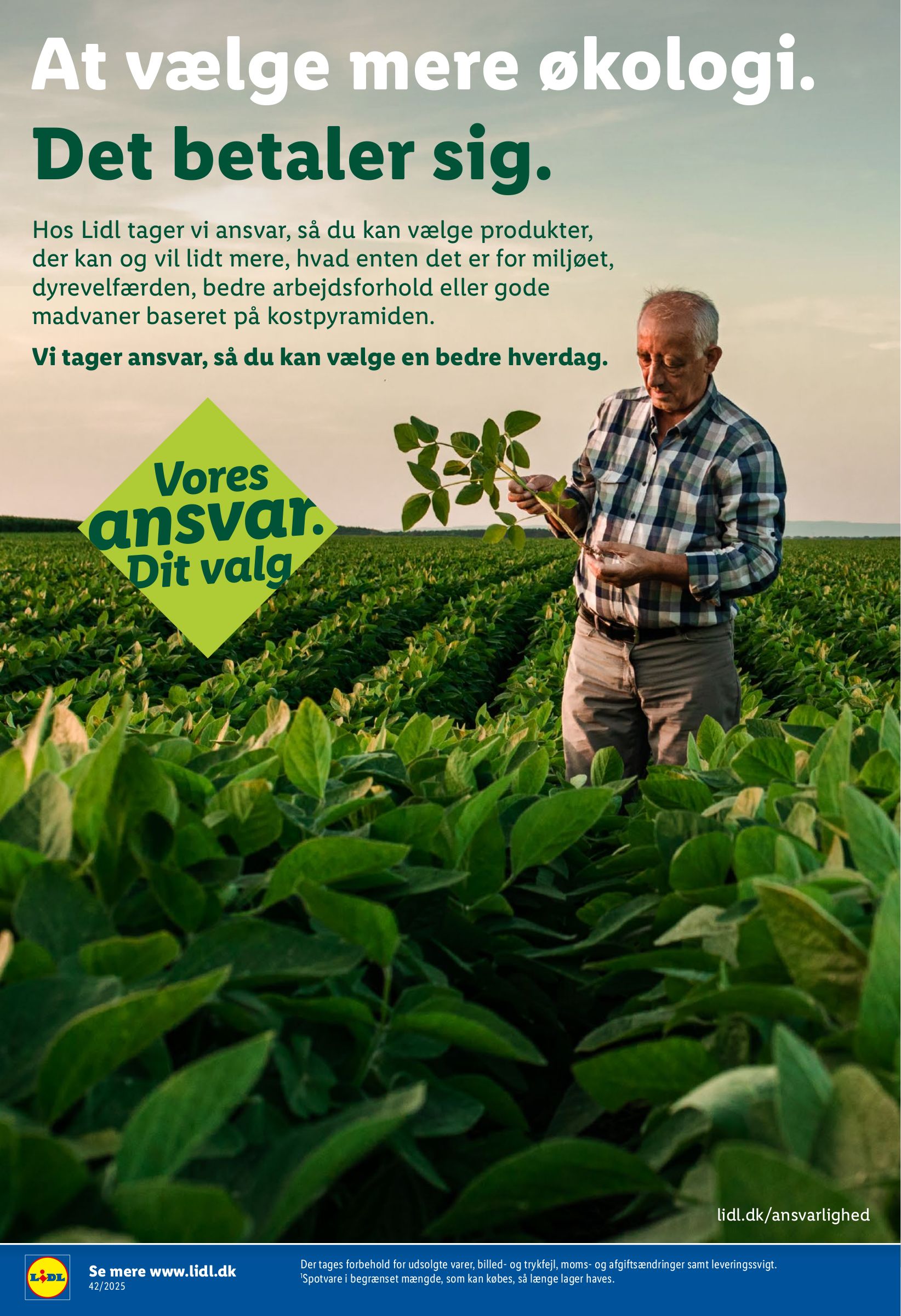 lidl - Lidl tilbudsavis gyldig fra 12.10. til 18.10. - page: 15