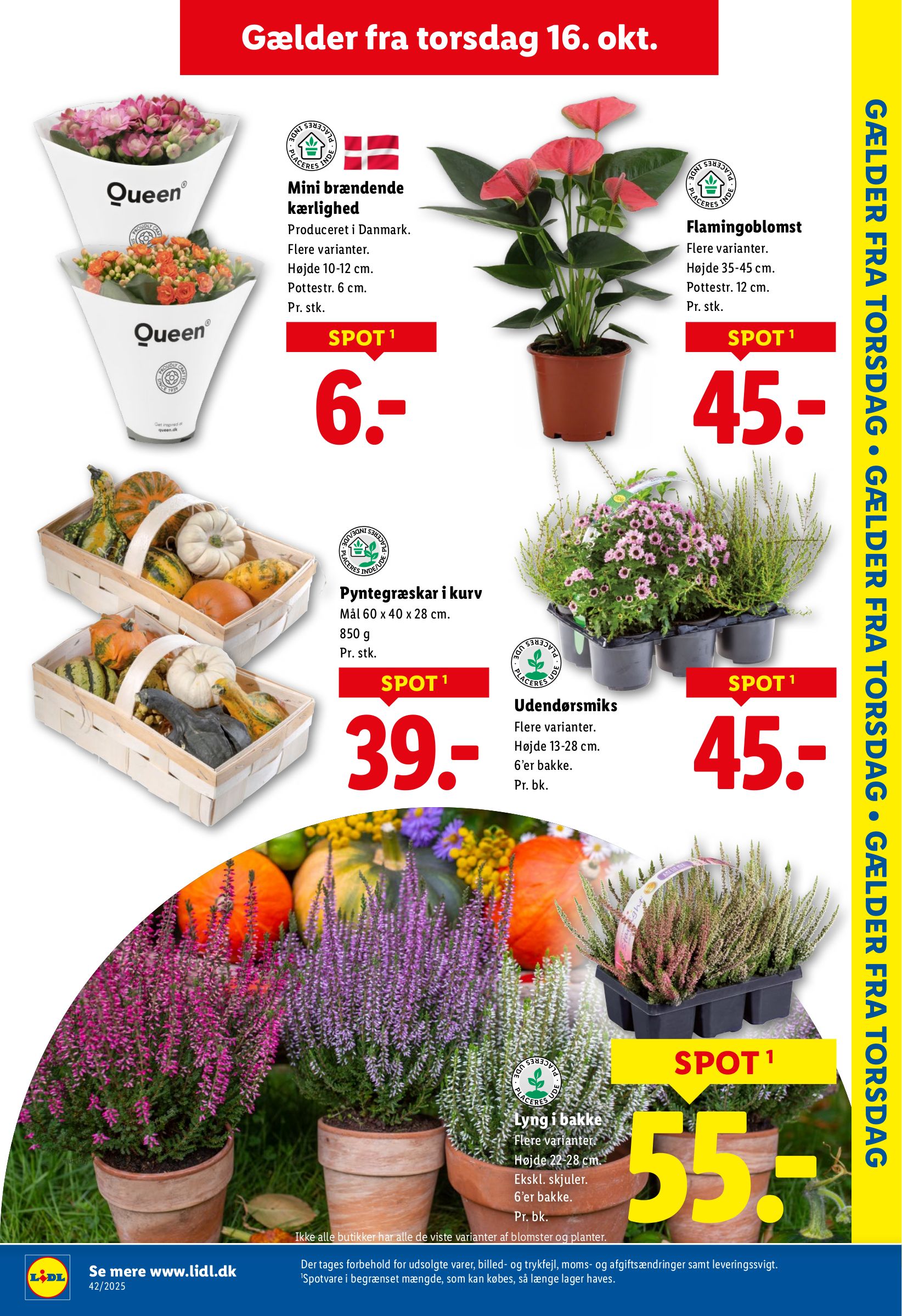lidl - Lidl tilbudsavis gyldig fra 12.10. til 18.10. - page: 30