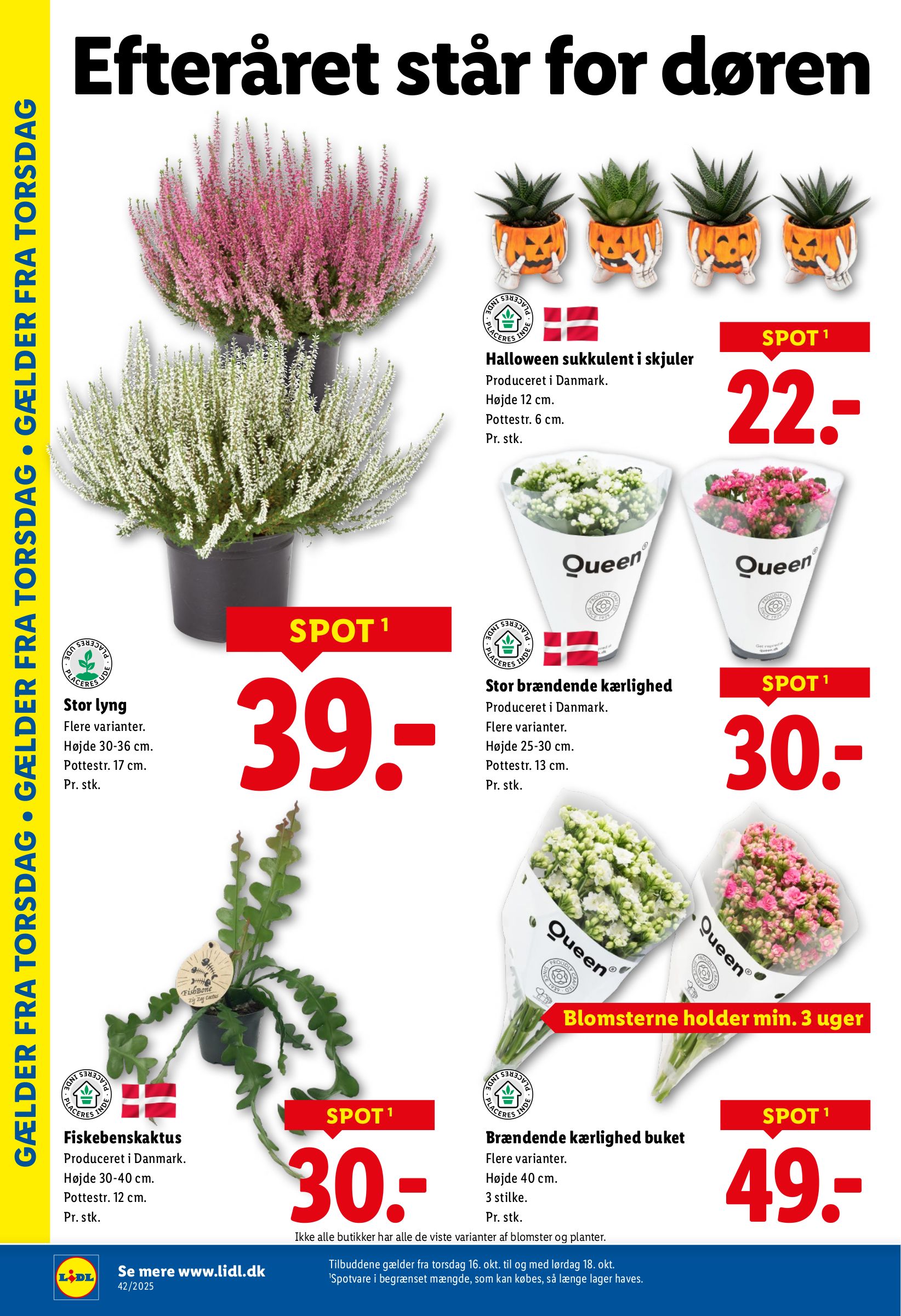 lidl - Lidl tilbudsavis gyldig fra 12.10. til 18.10. - page: 29