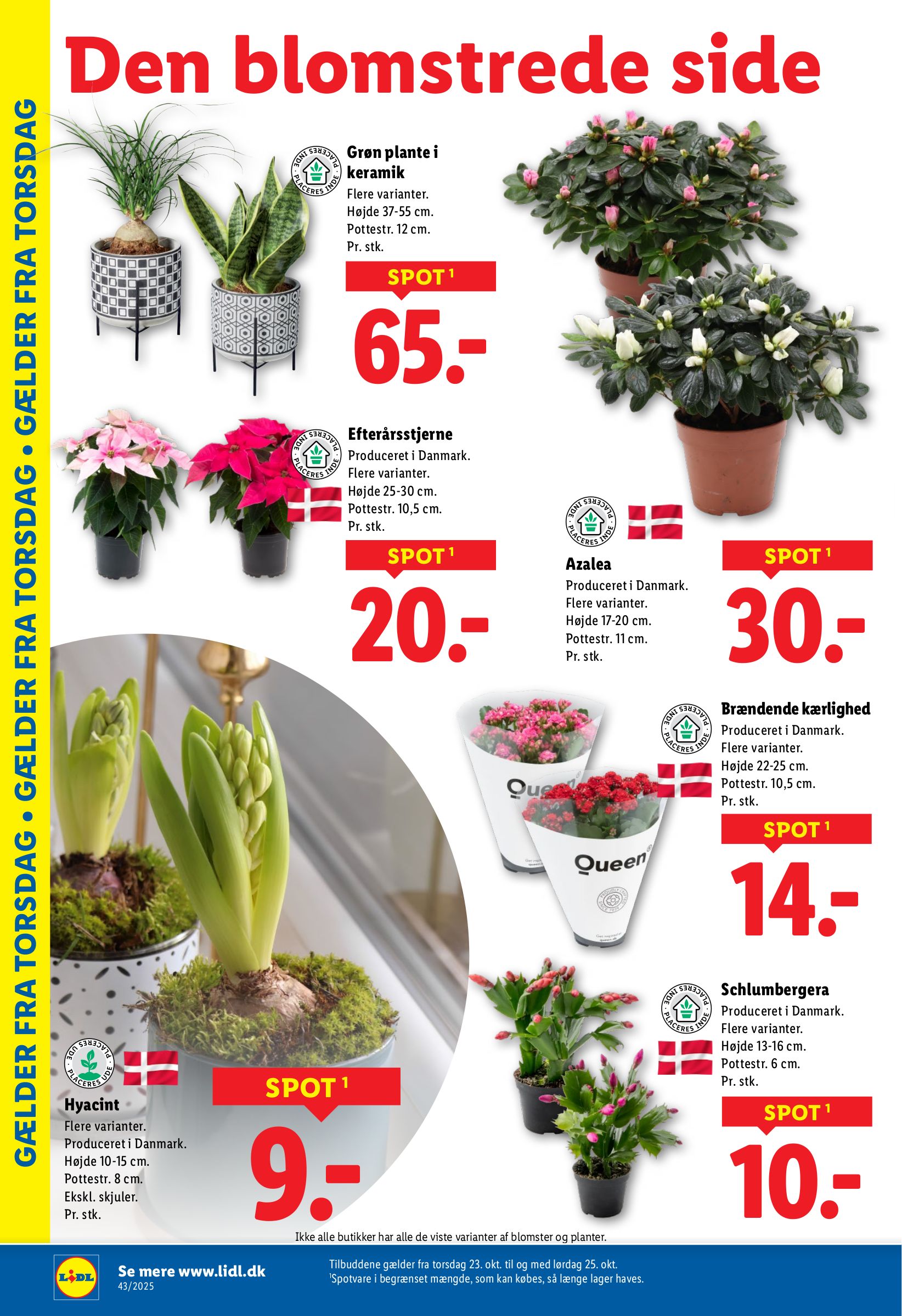 lidl - Lidl tilbudsavis gyldig fra 19.10. til 25.10. - page: 30