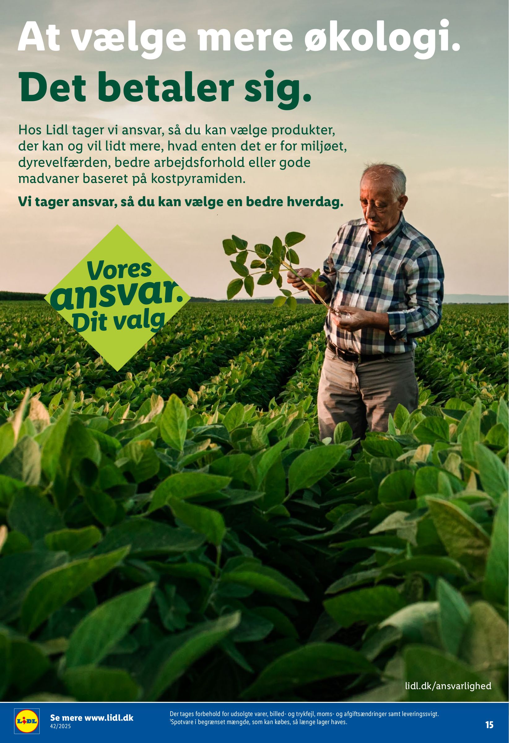 lidl - Lidl - Weekendtilbud tilbudsavis gyldig fra 16.10. til 18.10. - page: 29