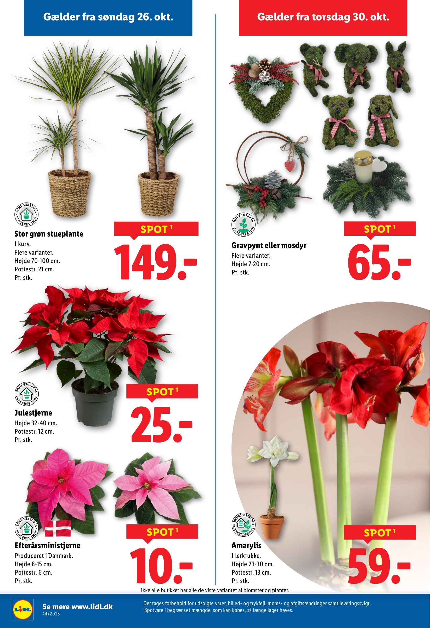 lidl - Lidl tilbudsavis gyldig fra 26.10. til 01.11. - page: 29