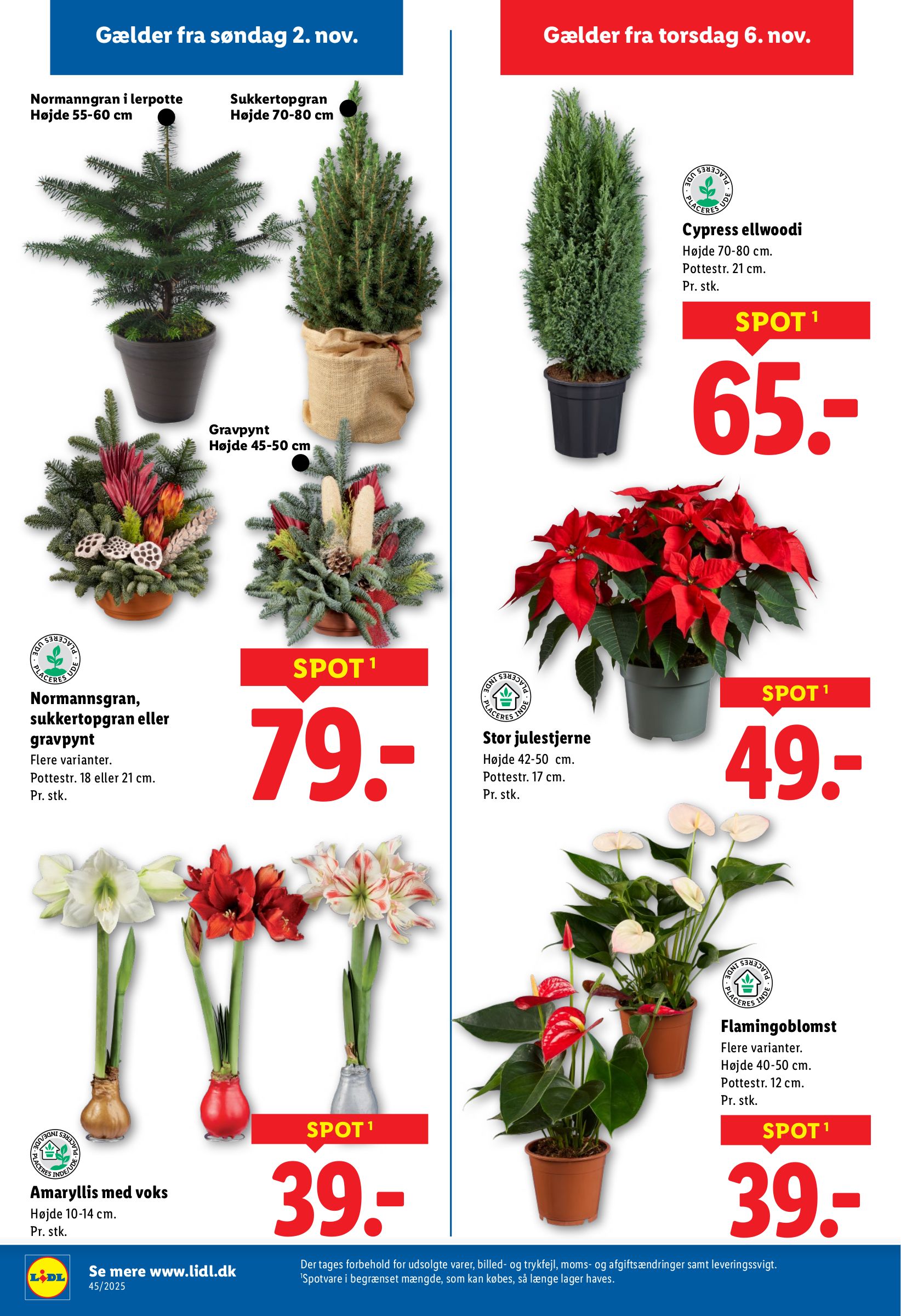 lidl - Lidl tilbudsavis gyldig fra 02.11. til 08.11. - page: 31