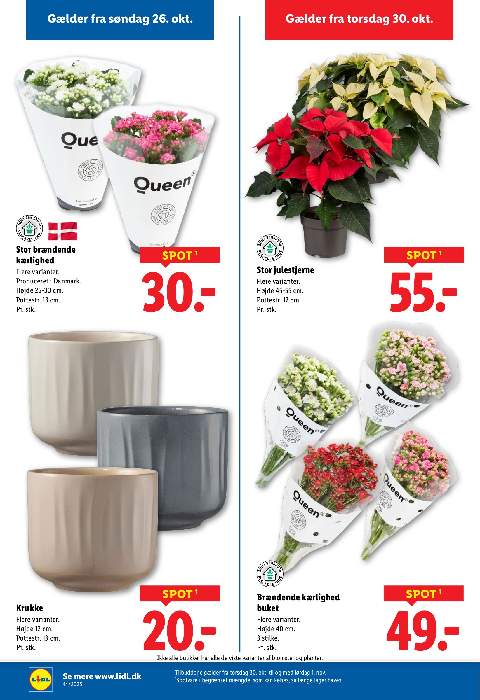 lidl - Lidl tilbudsavis gyldig fra 30.10. til 01.11. - page: 14